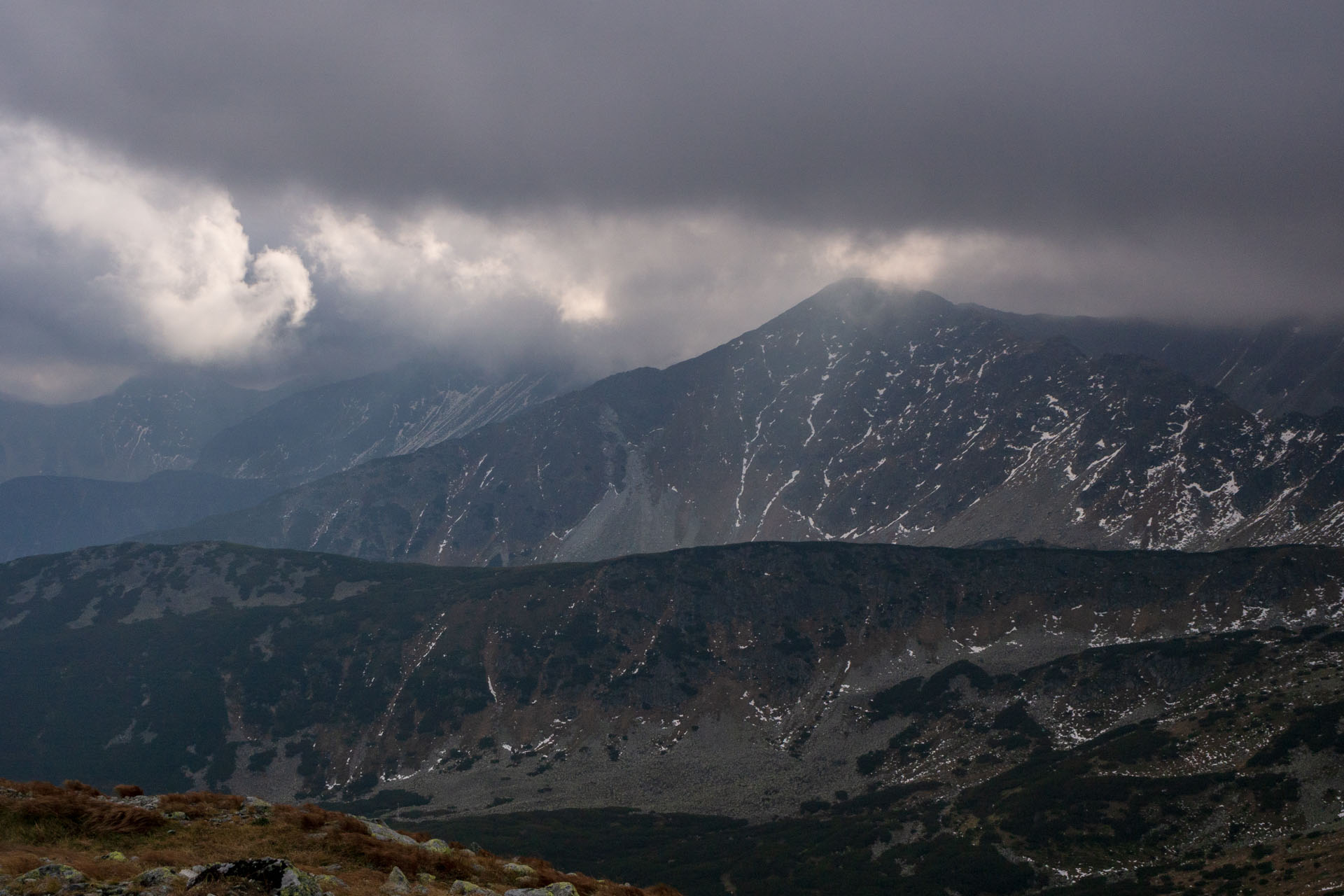 Brestová z Pod Spálenej (Západné Tatry)