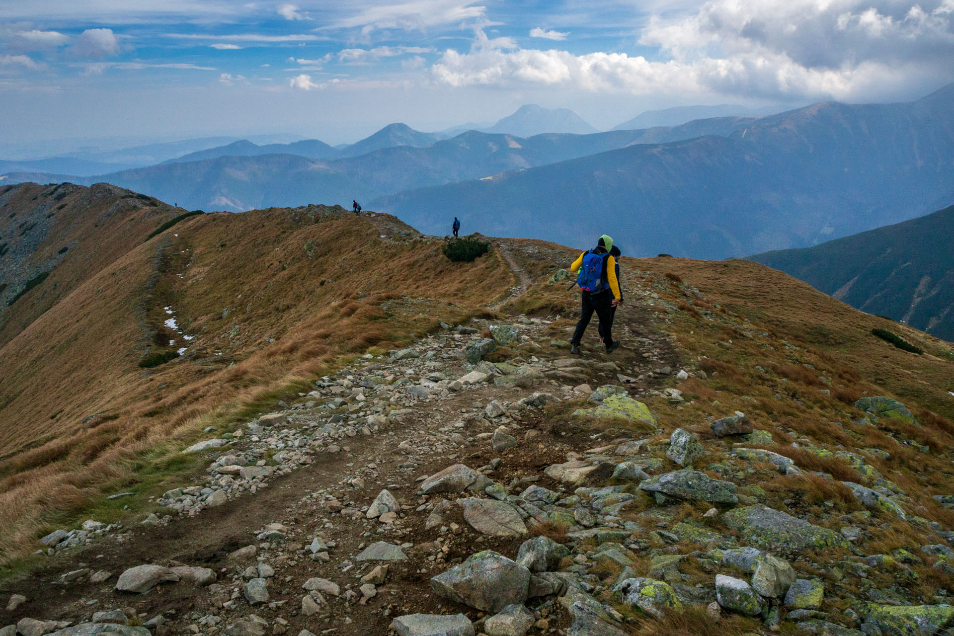 Brestová z Pod Spálenej (Západné Tatry)