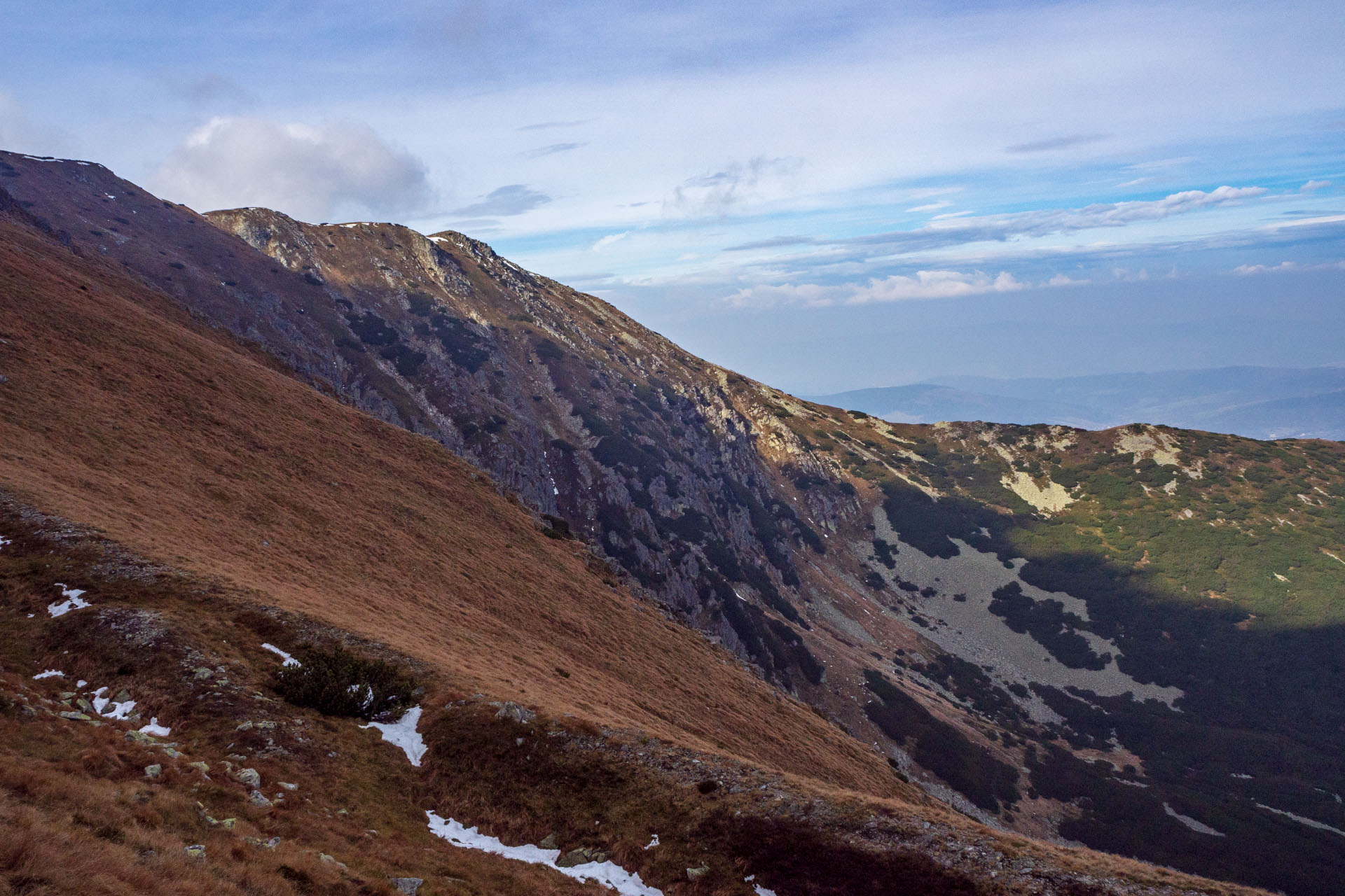 Brestová z Pod Spálenej (Západné Tatry)