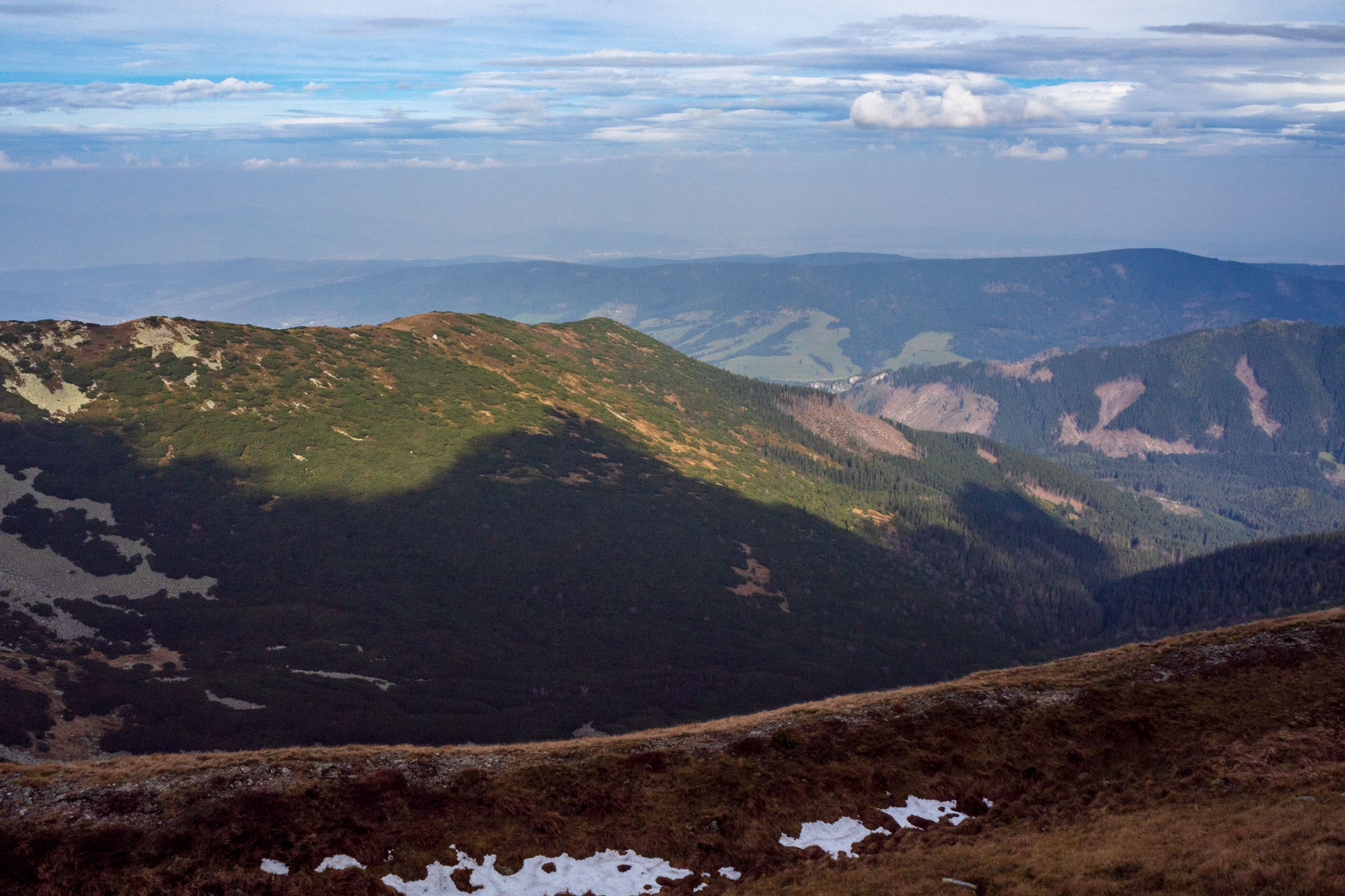 Brestová z Pod Spálenej (Západné Tatry)