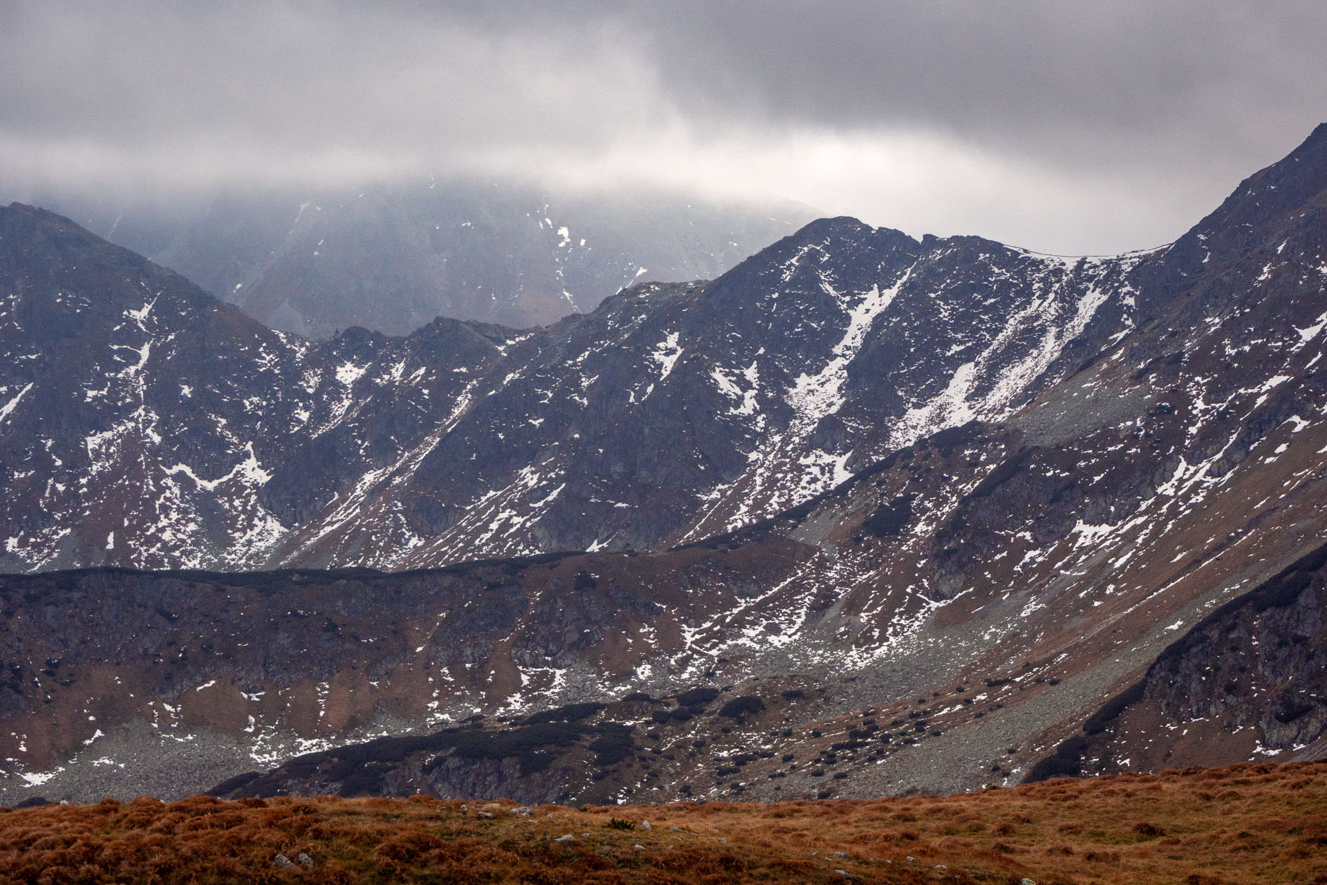 Brestová z Pod Spálenej (Západné Tatry)