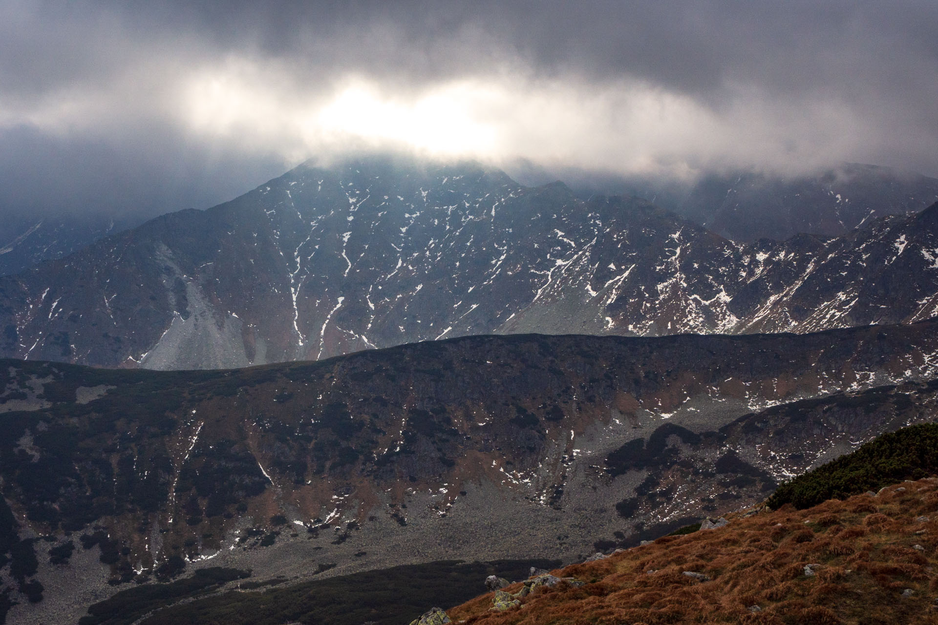 Brestová z Pod Spálenej (Západné Tatry)