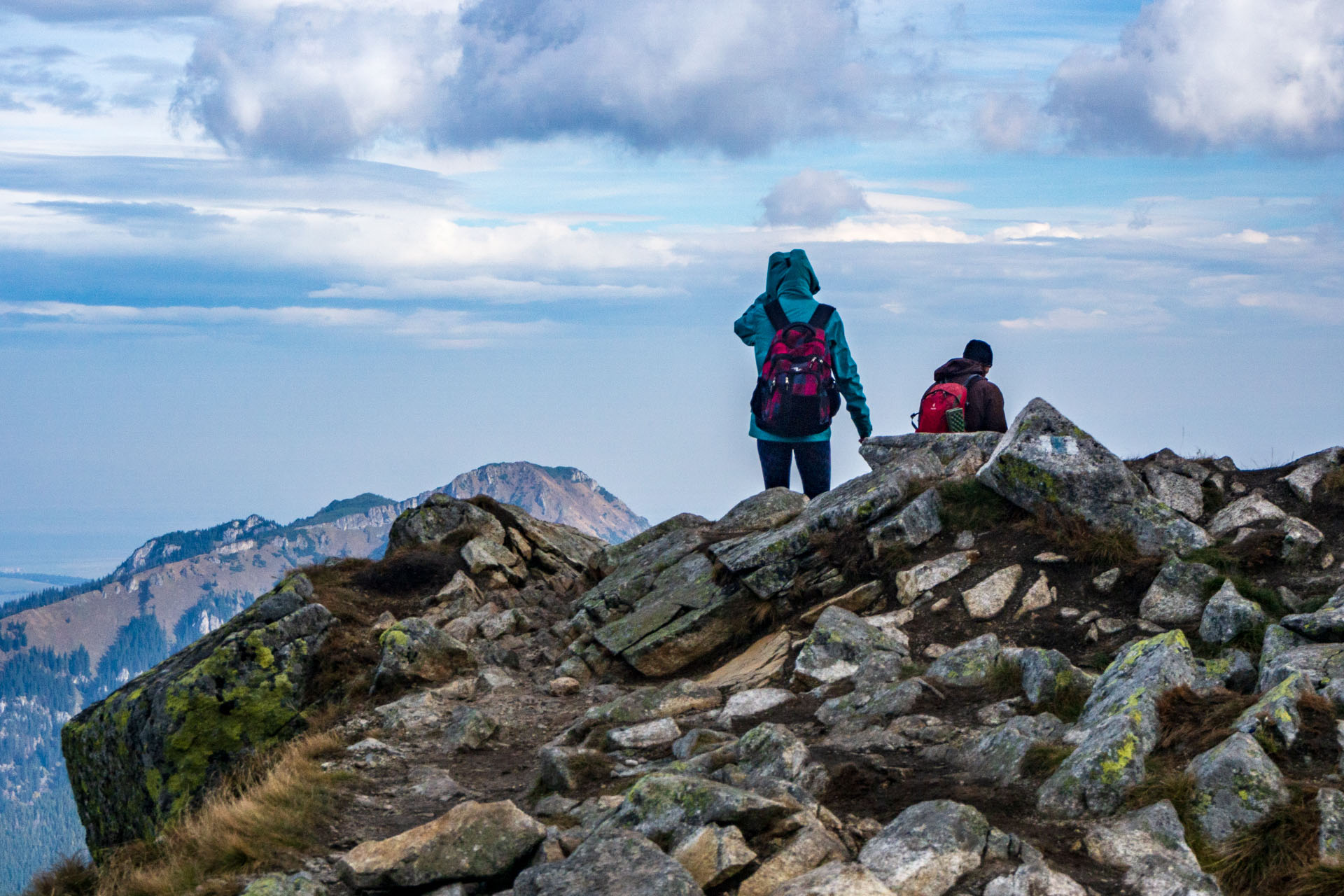 Brestová z Pod Spálenej (Západné Tatry)