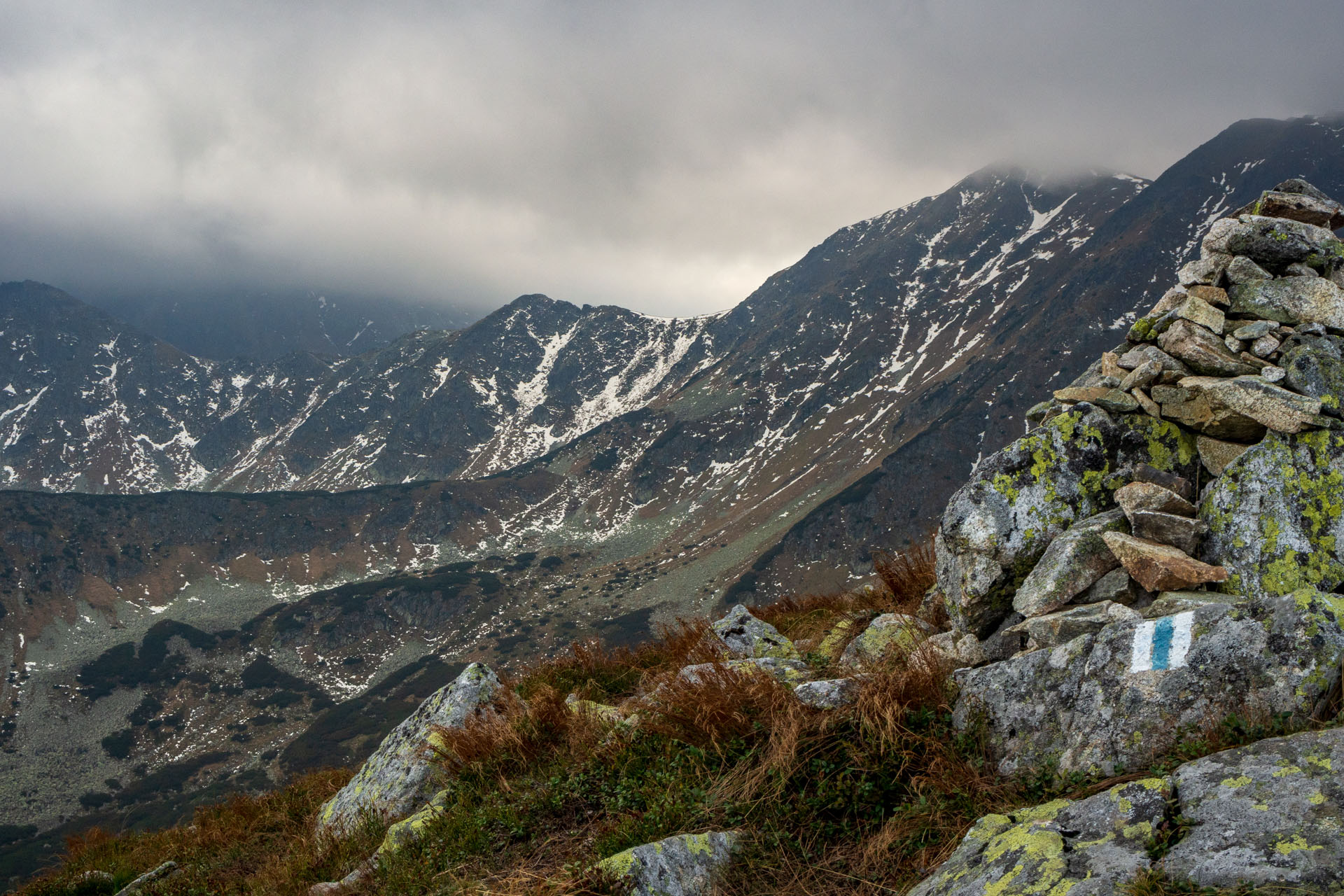 Brestová z Pod Spálenej (Západné Tatry)