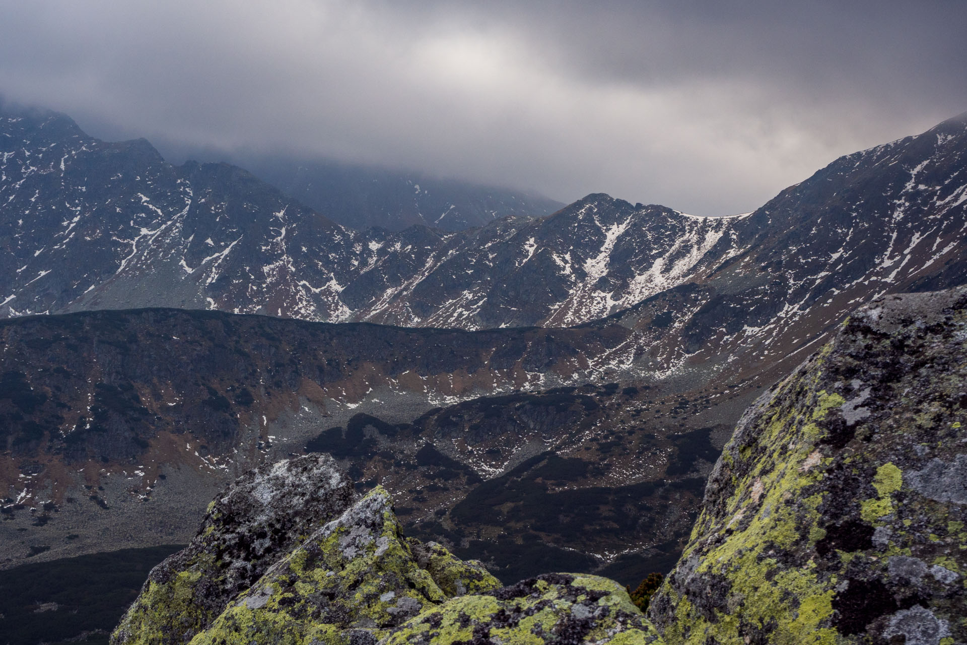 Brestová z Pod Spálenej (Západné Tatry)