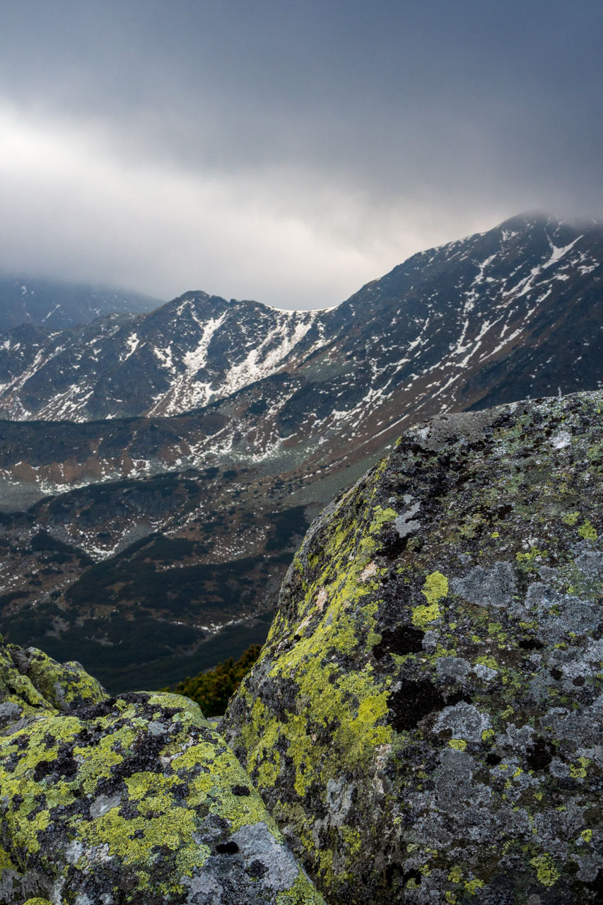 Brestová z Pod Spálenej (Západné Tatry)