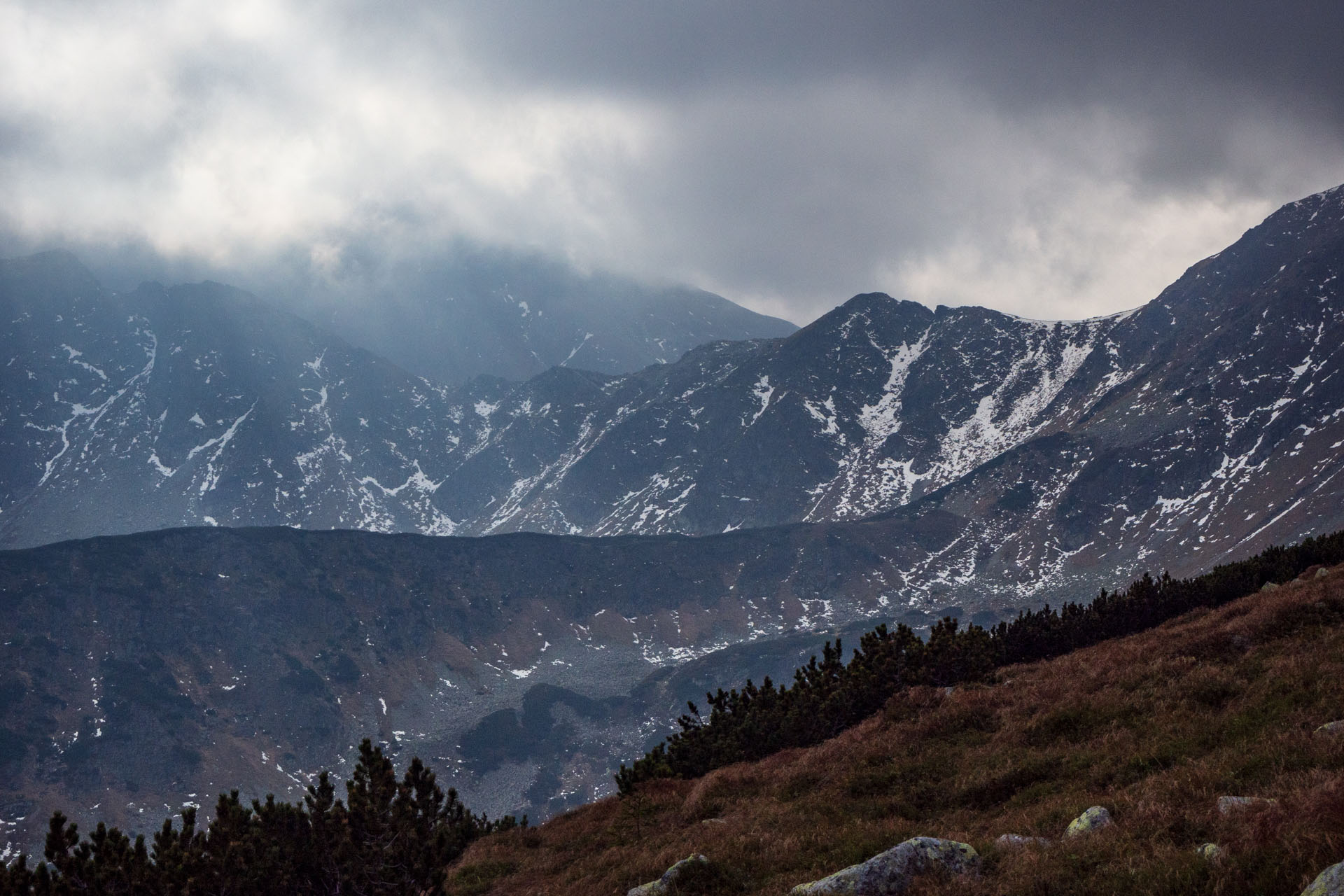 Brestová z Pod Spálenej (Západné Tatry)