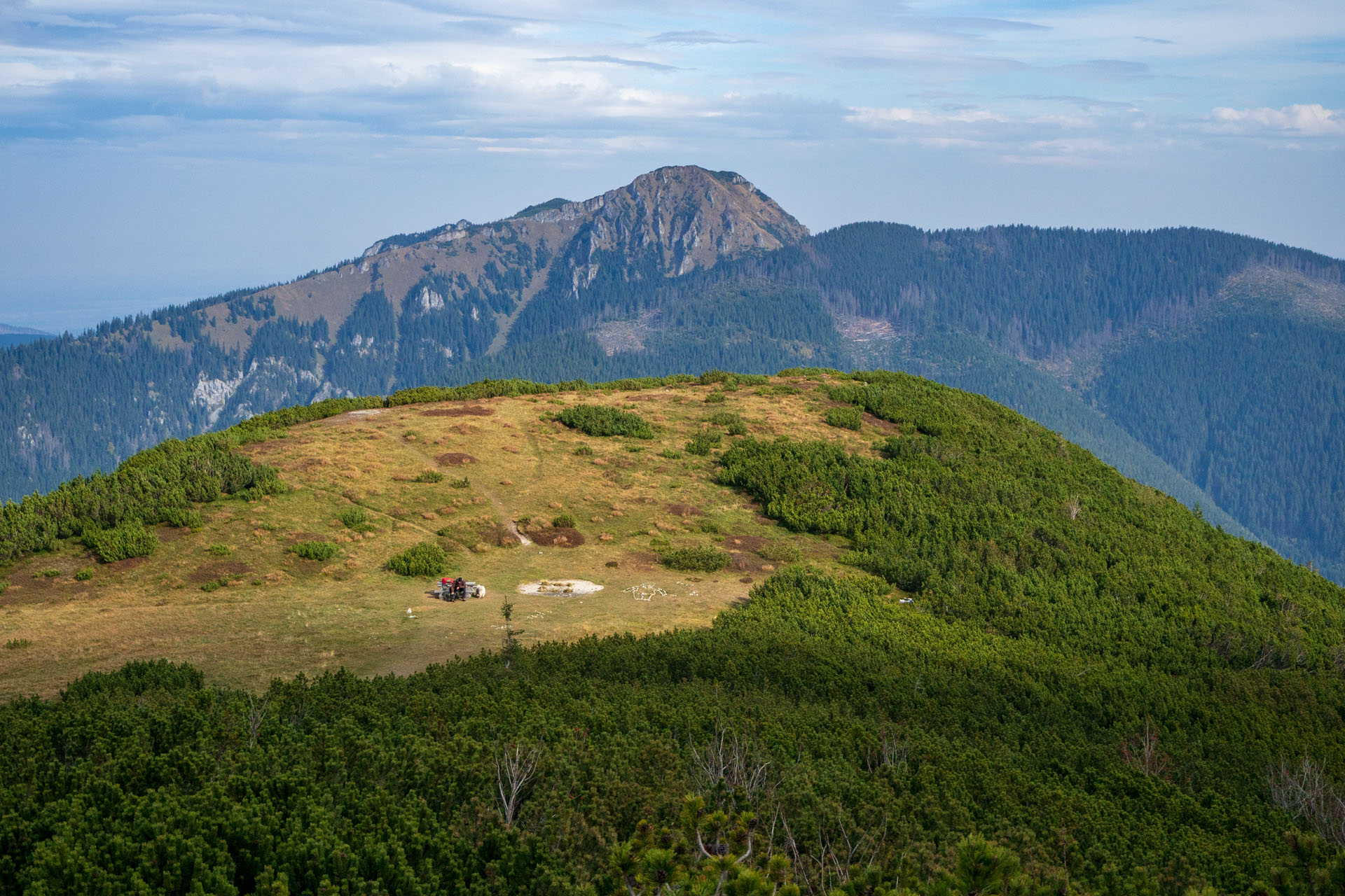 Brestová z Pod Spálenej (Západné Tatry)