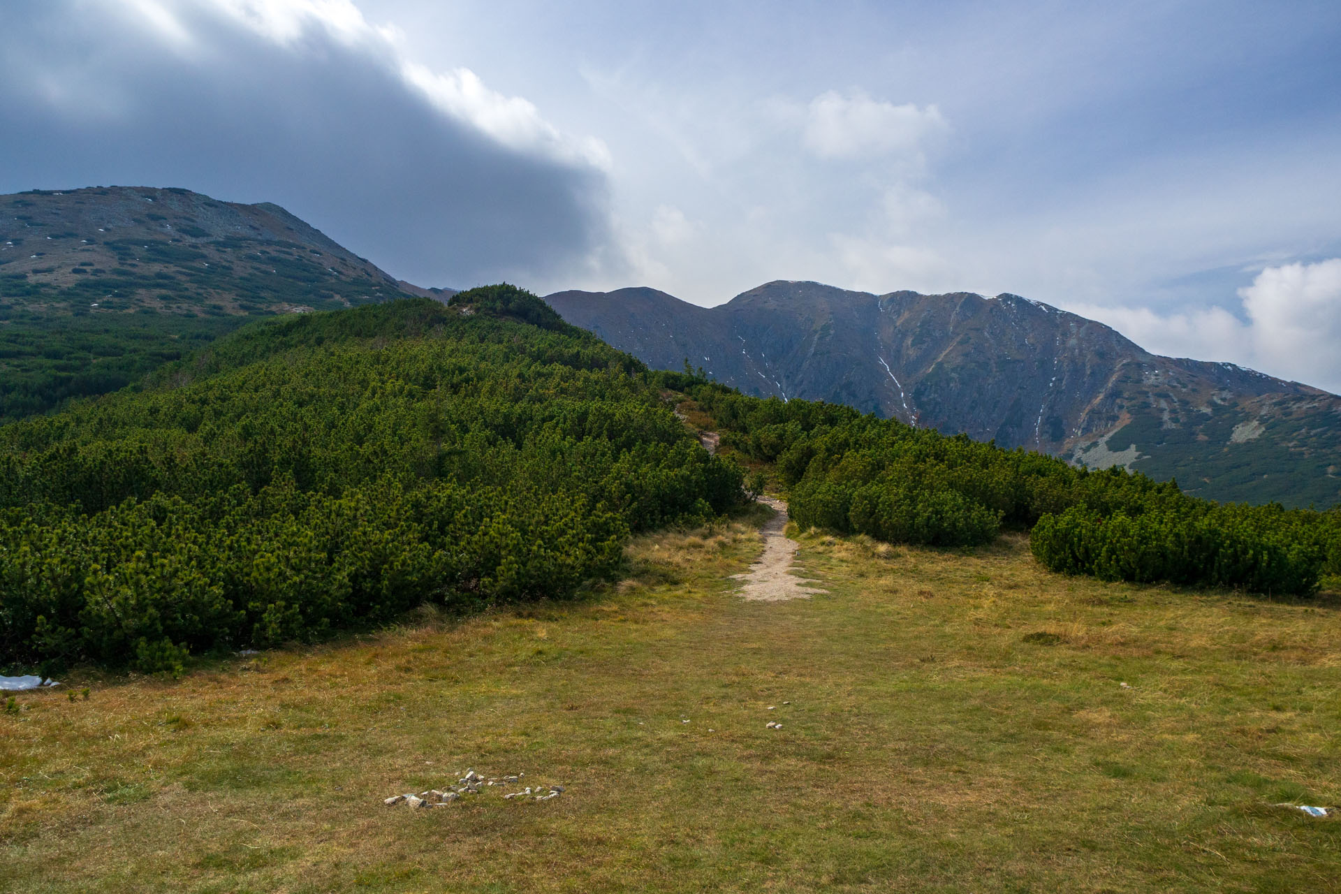 Brestová z Pod Spálenej (Západné Tatry)