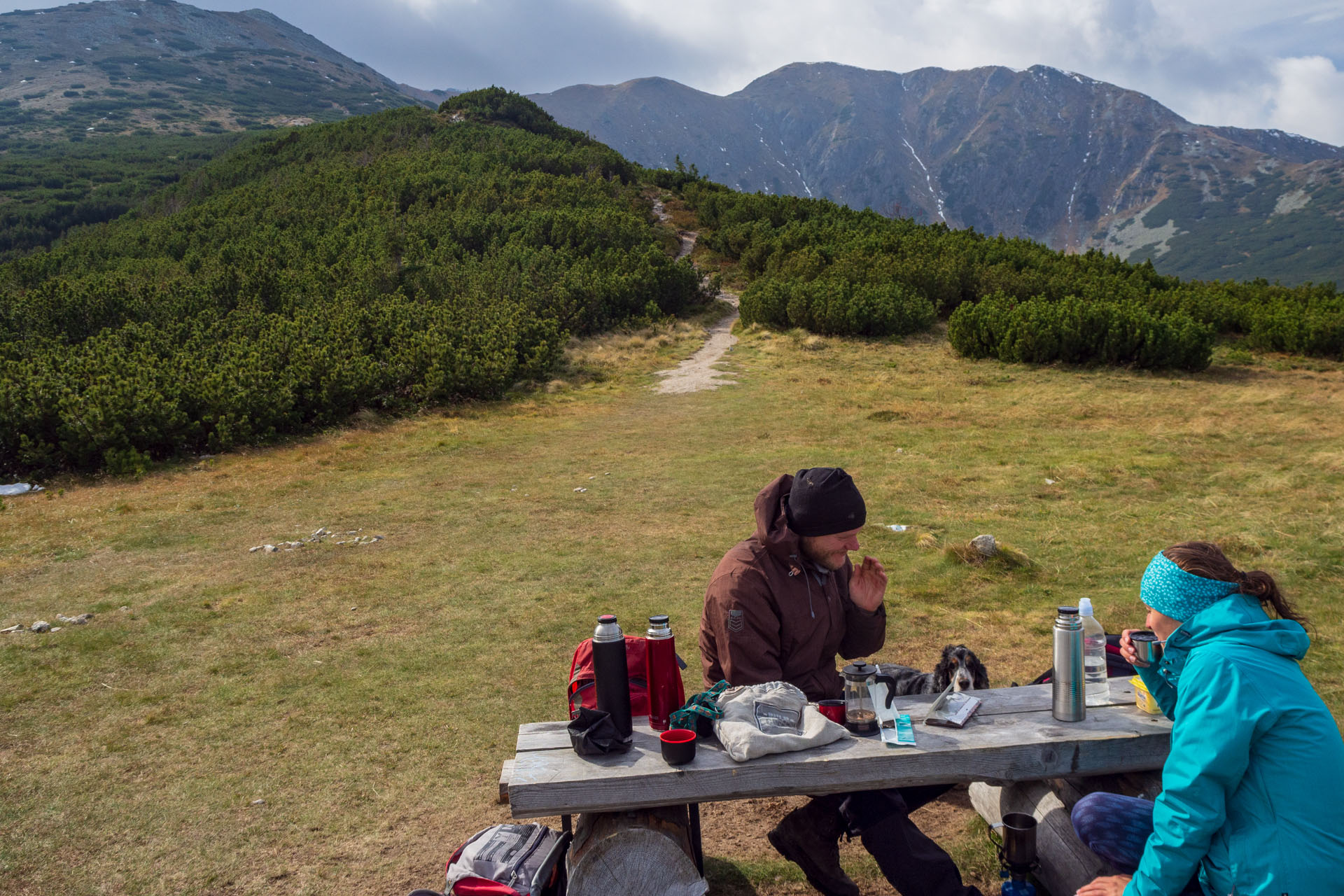 Brestová z Pod Spálenej (Západné Tatry)