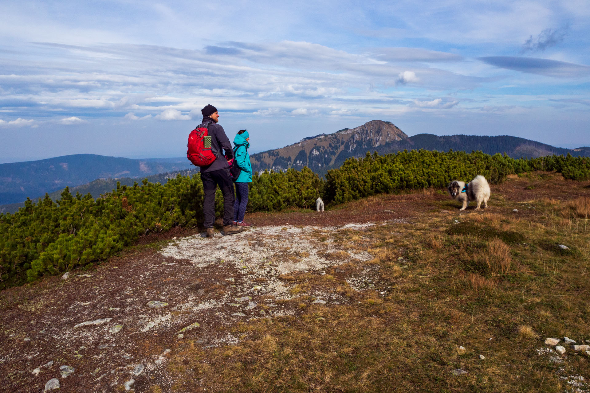 Brestová z Pod Spálenej (Západné Tatry)