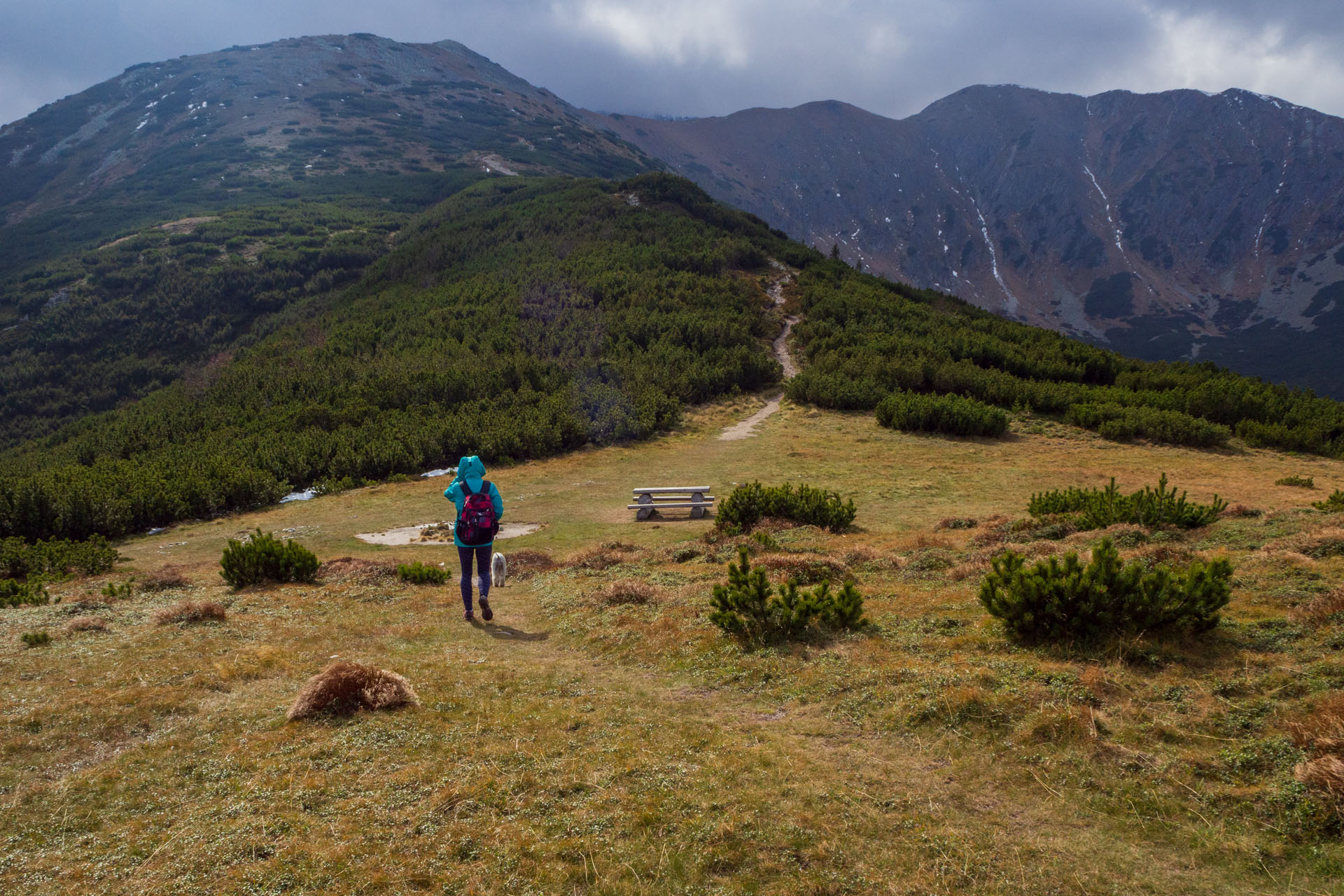 Brestová z Pod Spálenej (Západné Tatry)