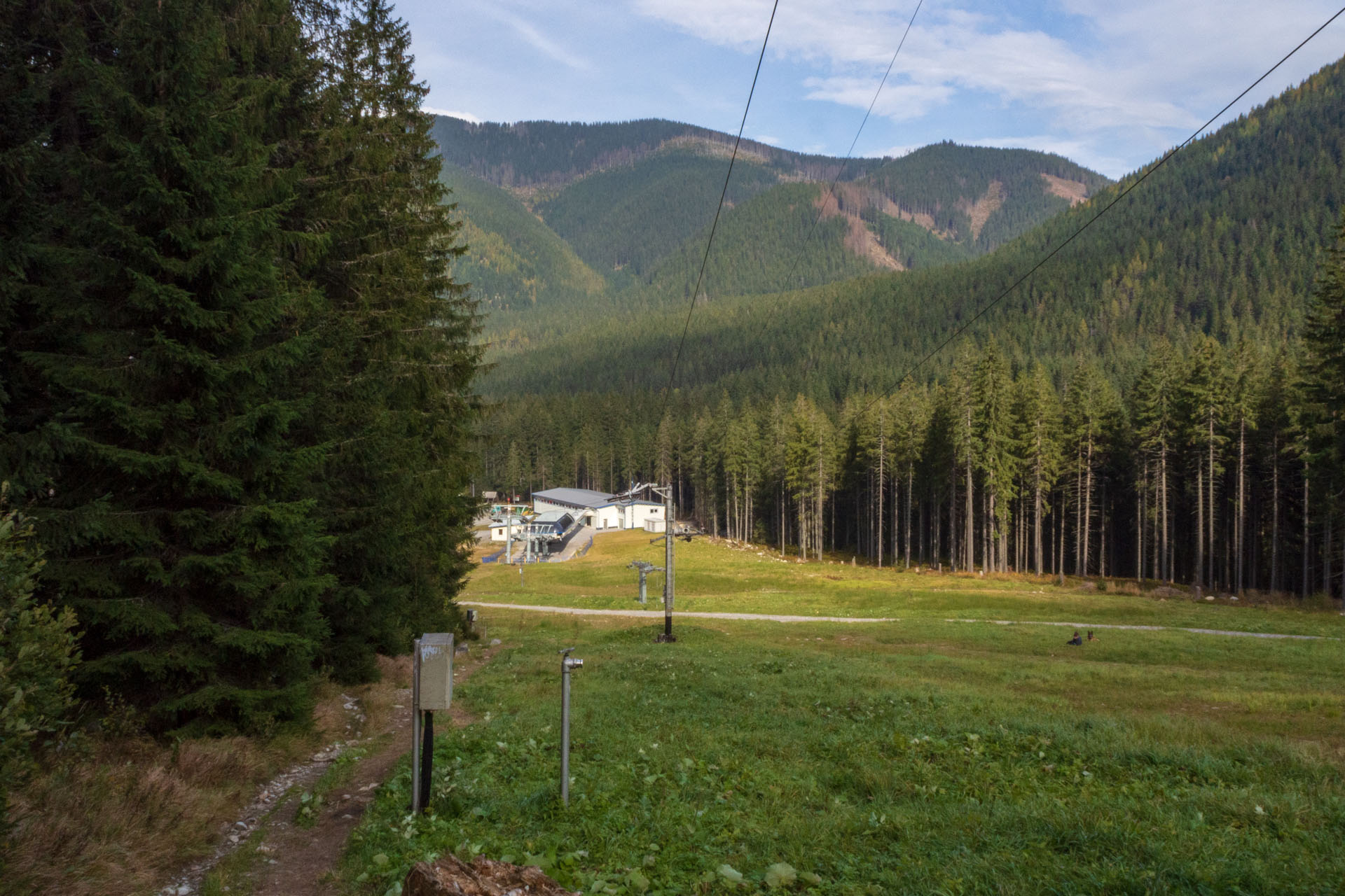 Brestová z Pod Spálenej (Západné Tatry)