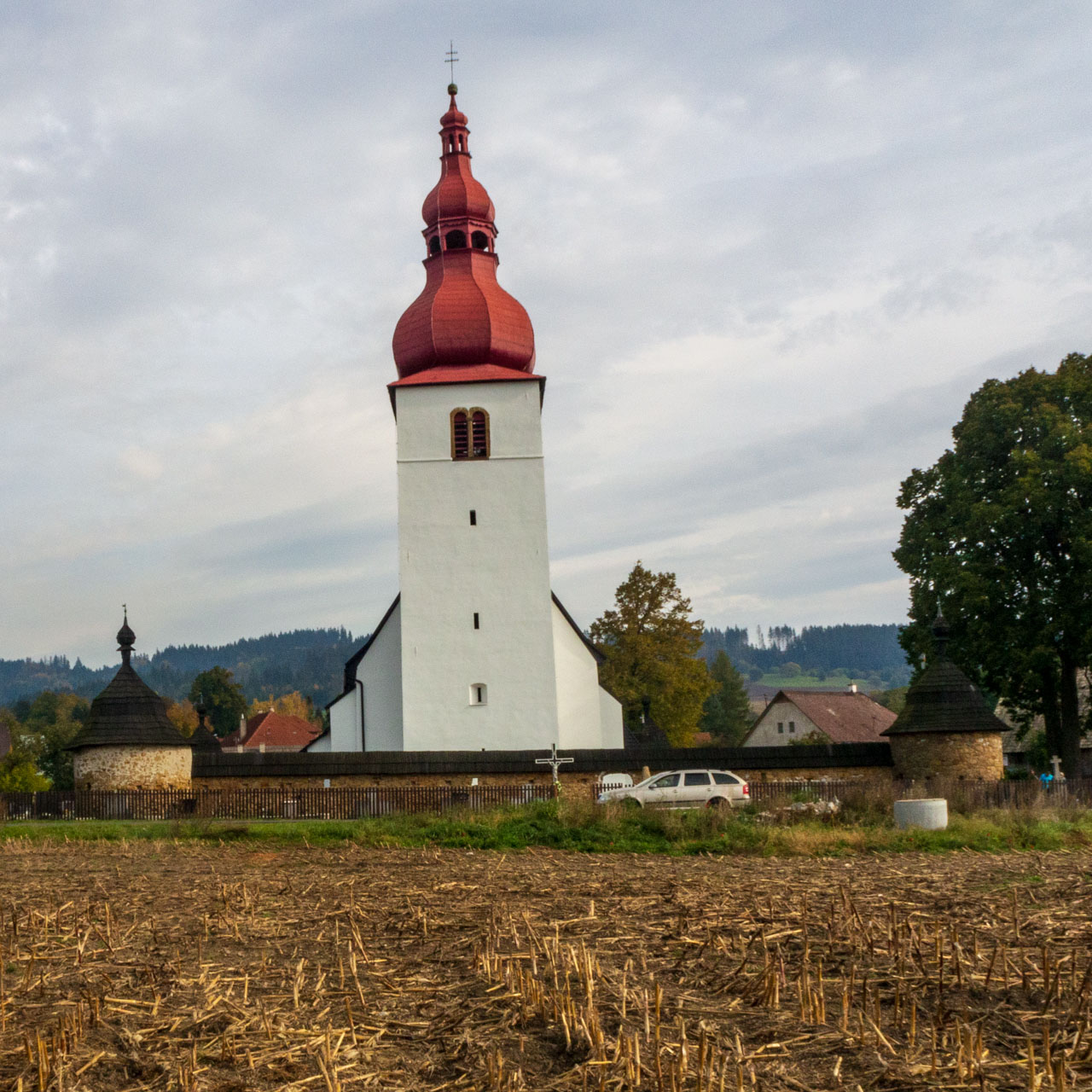 Brestová z Pod Spálenej (Západné Tatry)