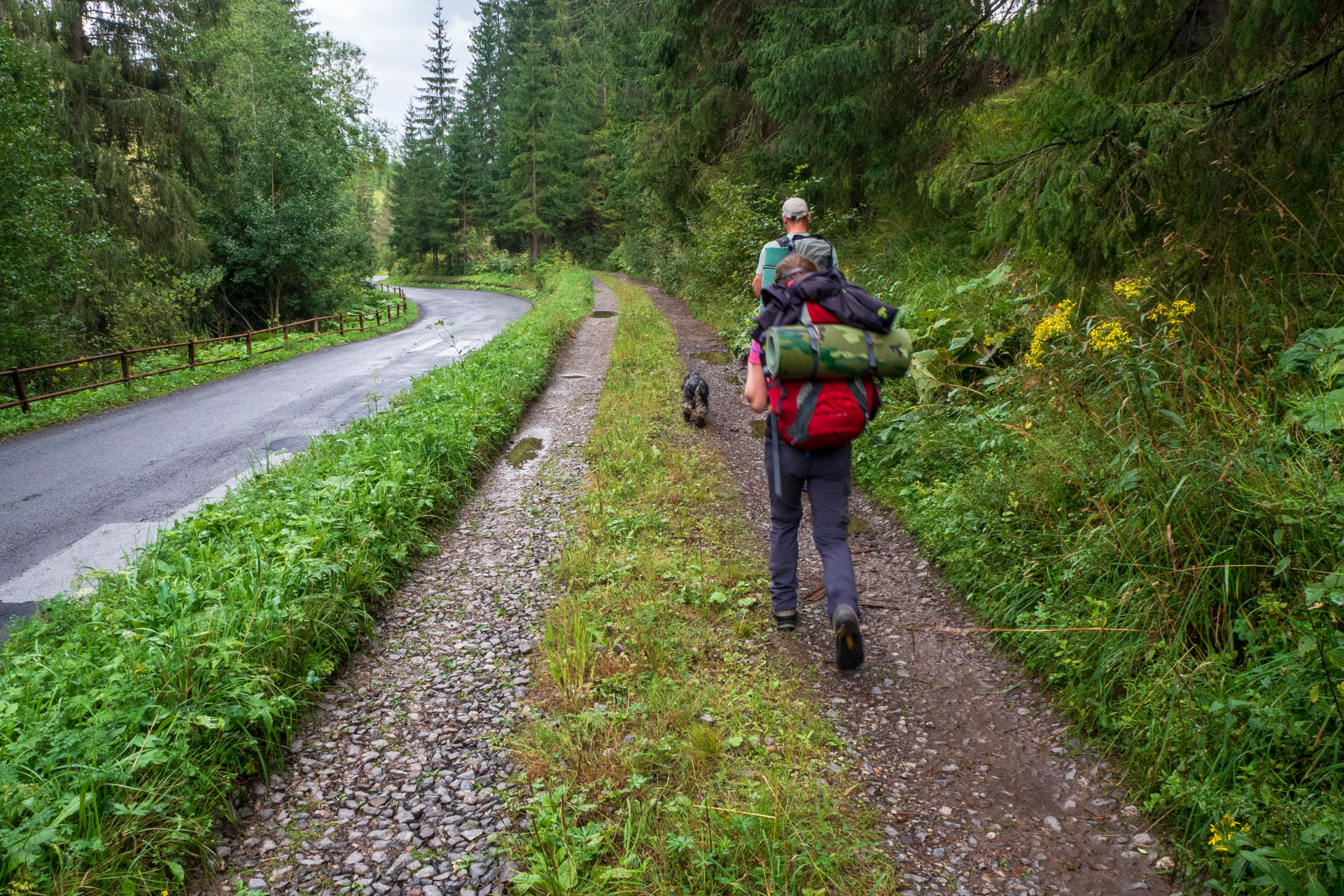 Čučoriedkový deň a Panská hoľa z Pred Soľankou (Nízke Tatry)