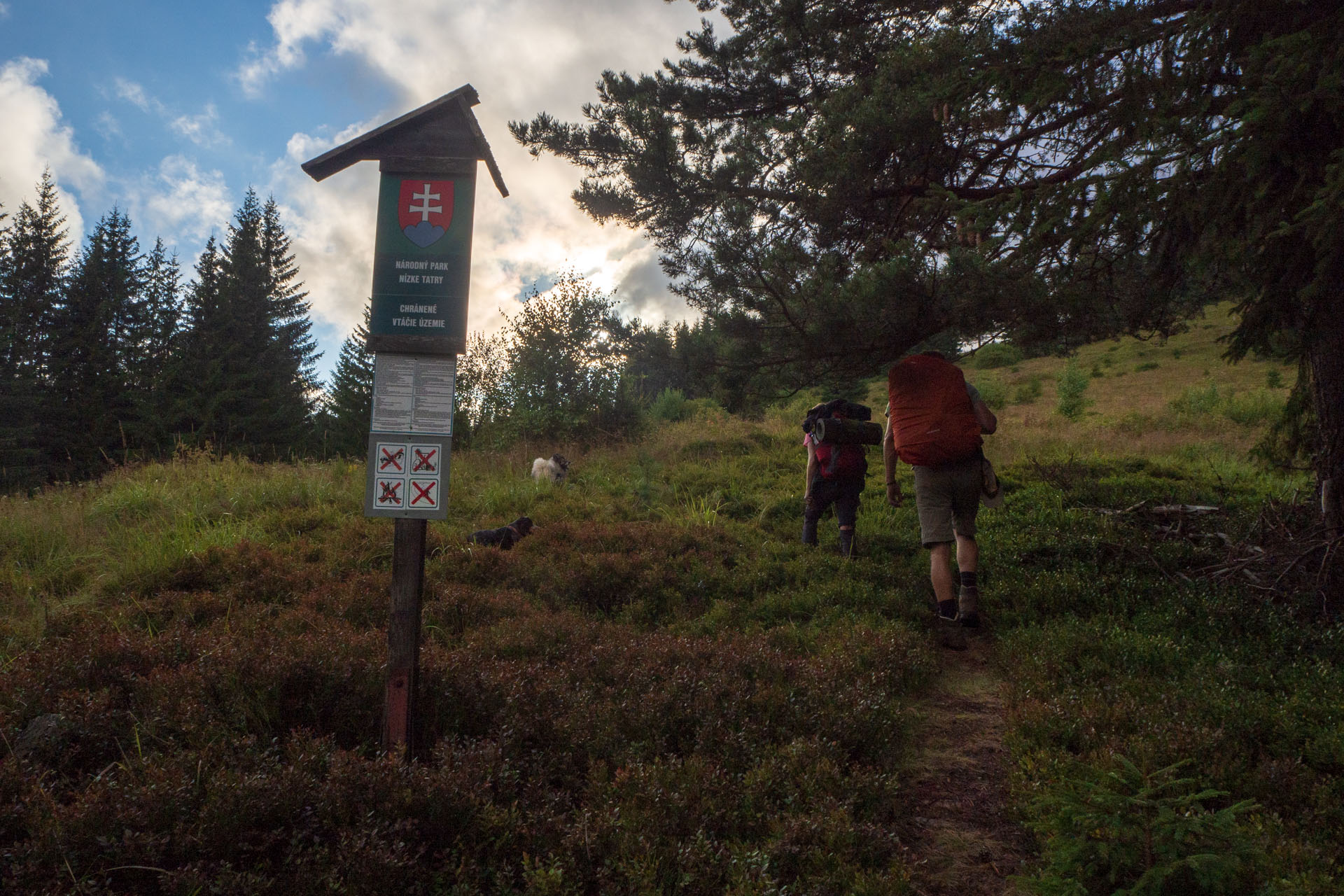 Čučoriedkový deň a Panská hoľa z Pred Soľankou (Nízke Tatry)