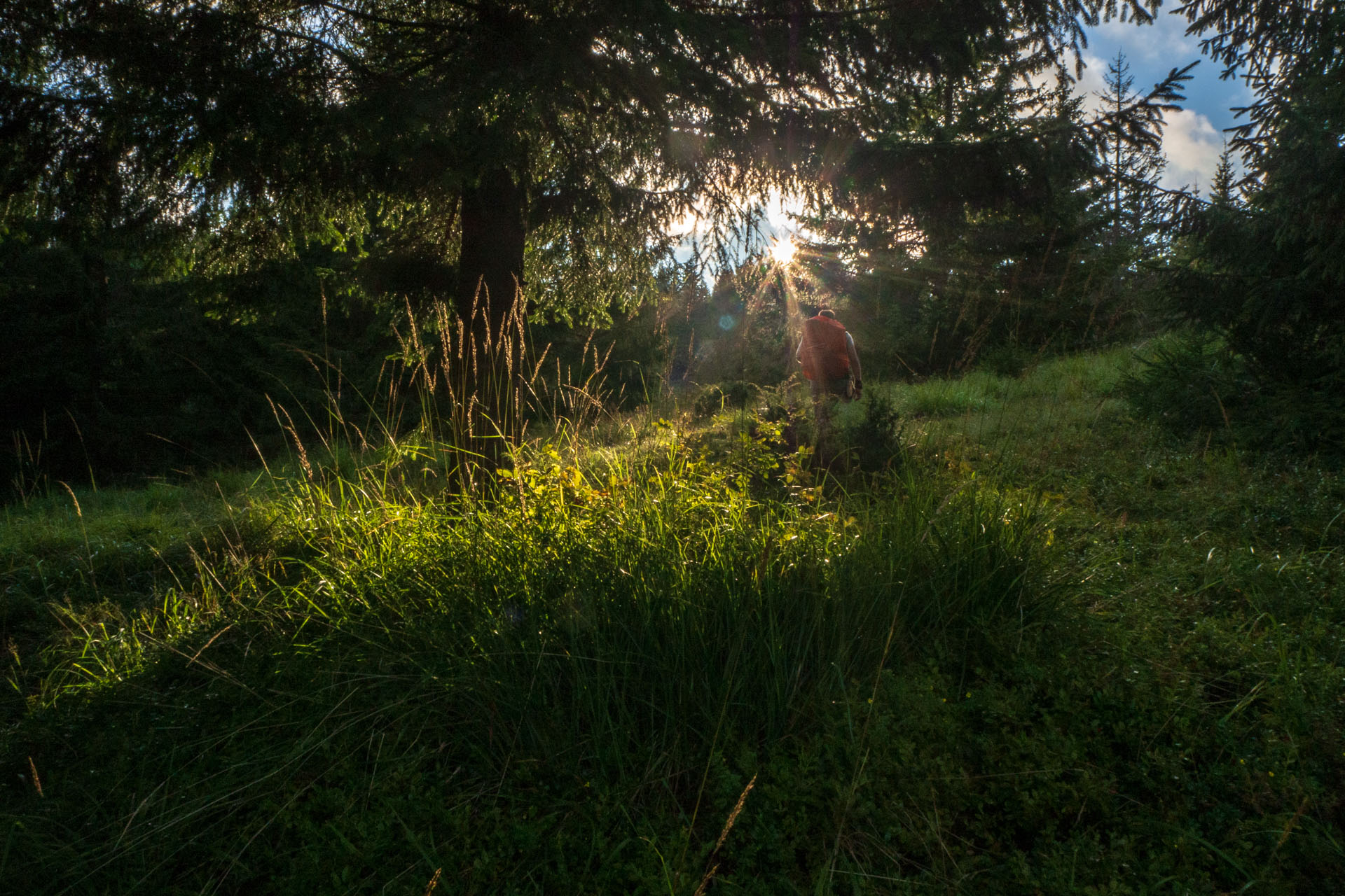 Čučoriedkový deň a Panská hoľa z Pred Soľankou (Nízke Tatry)