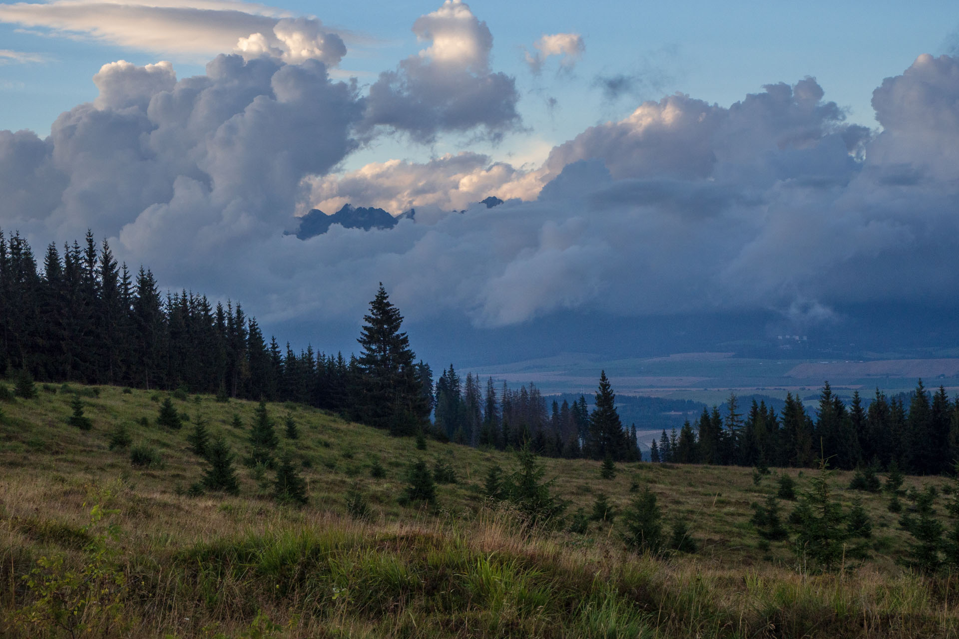 Čučoriedkový deň a Panská hoľa z Pred Soľankou (Nízke Tatry)