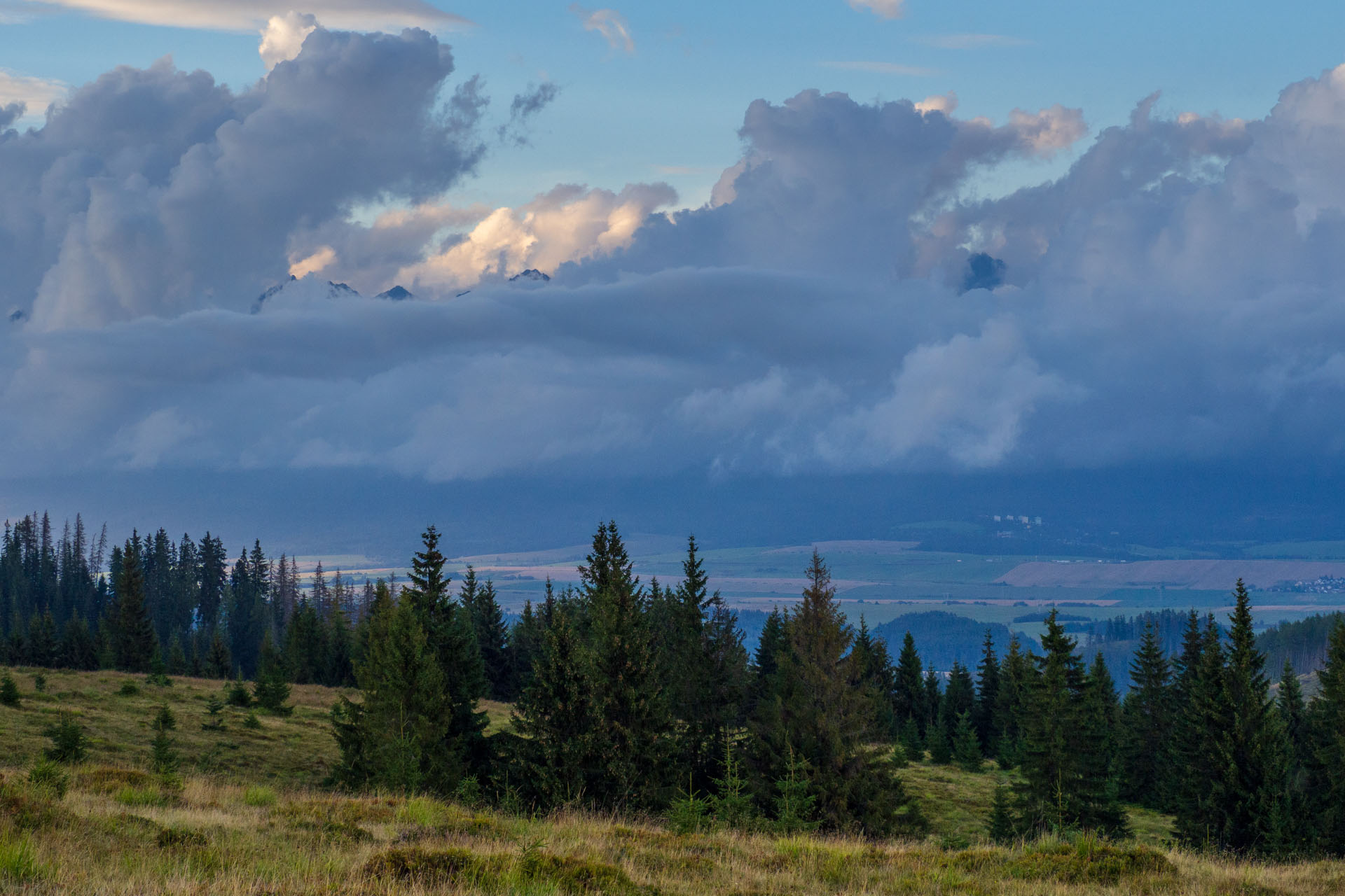 Čučoriedkový deň a Panská hoľa z Pred Soľankou (Nízke Tatry)