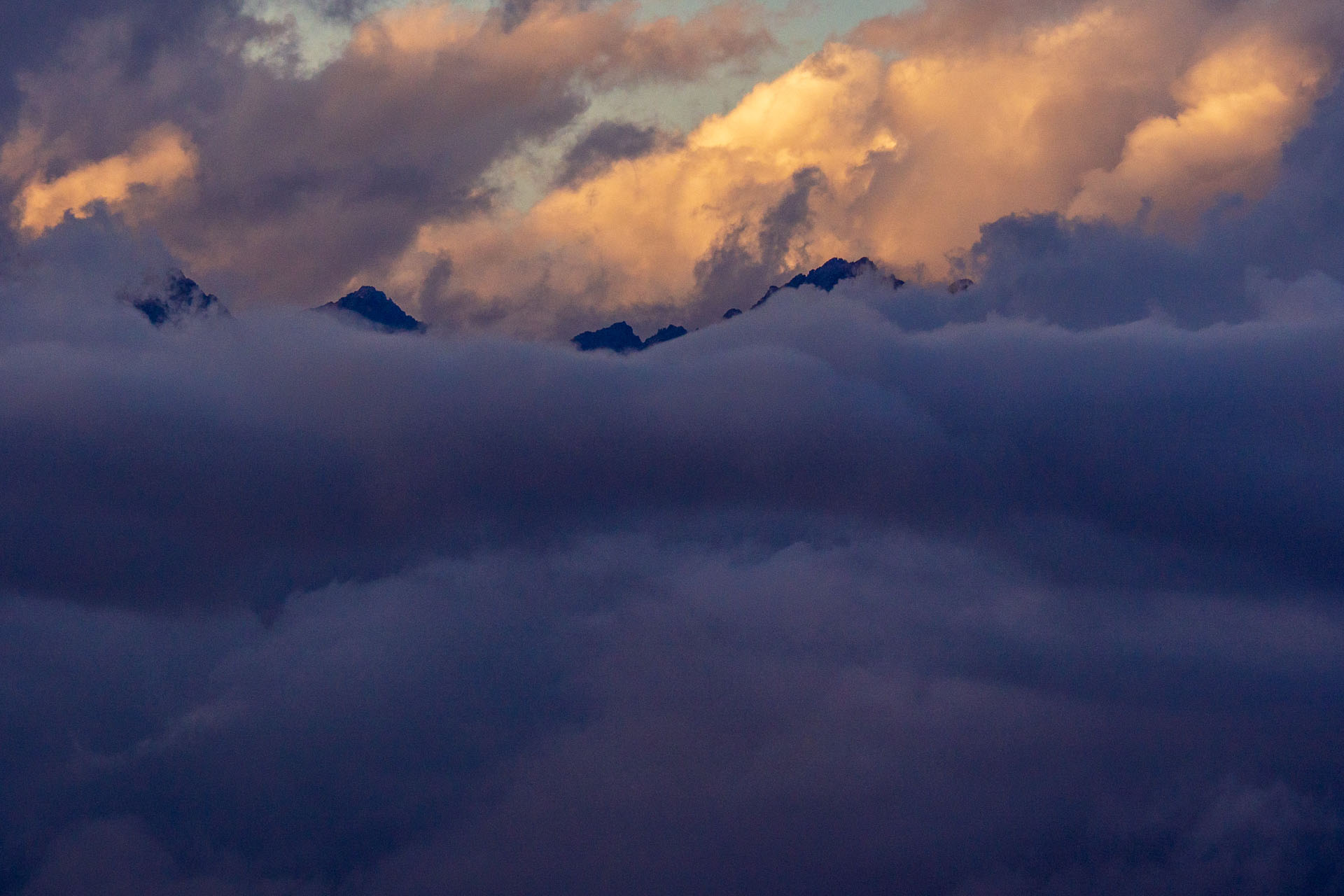 Čučoriedkový deň a Panská hoľa z Pred Soľankou (Nízke Tatry)