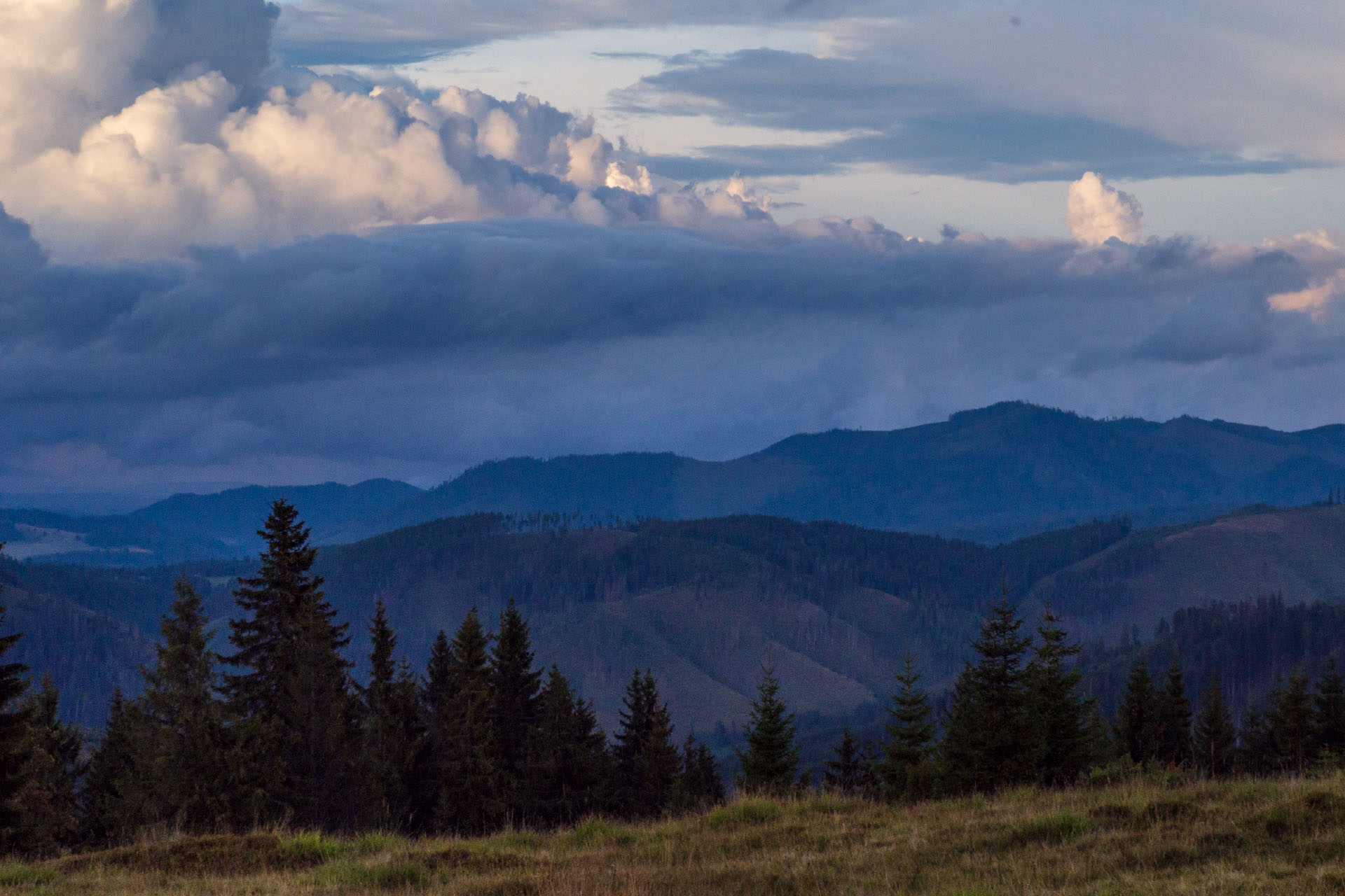 Čučoriedkový deň a Panská hoľa z Pred Soľankou (Nízke Tatry)