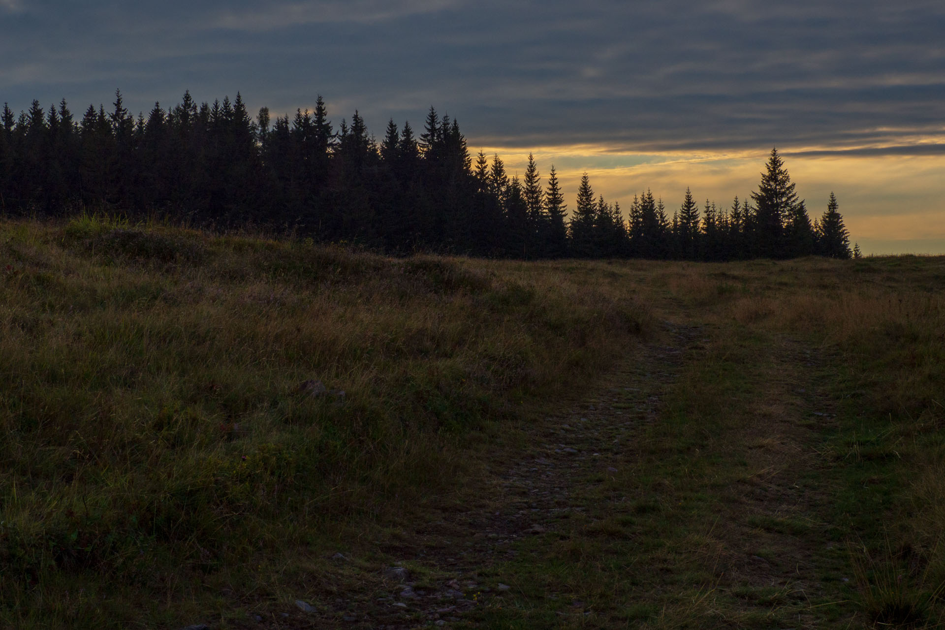 Čučoriedkový deň a Panská hoľa z Pred Soľankou (Nízke Tatry)