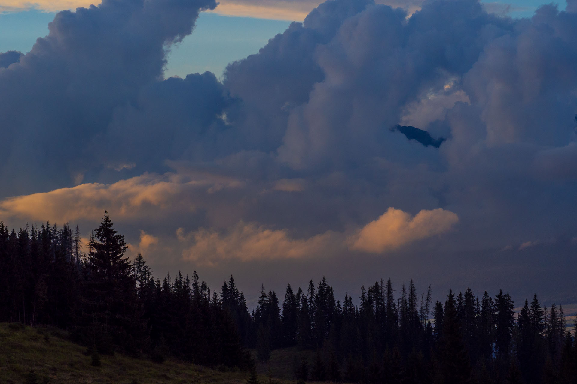 Čučoriedkový deň a Panská hoľa z Pred Soľankou (Nízke Tatry)