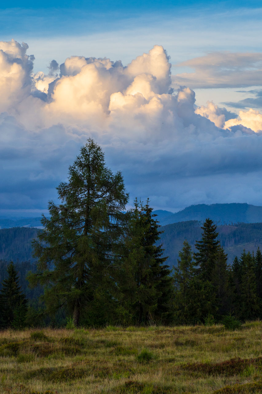 Čučoriedkový deň a Panská hoľa z Pred Soľankou (Nízke Tatry)