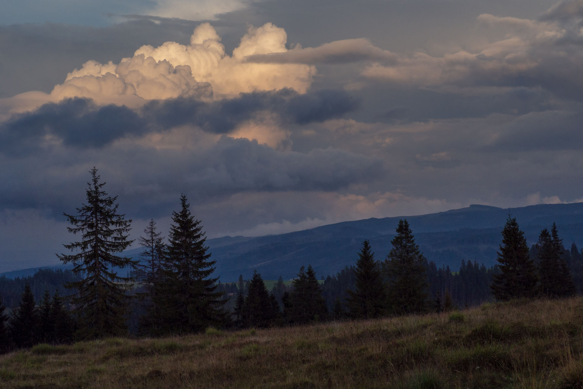 Čučoriedkový deň a Panská hoľa z Pred Soľankou (Nízke Tatry)