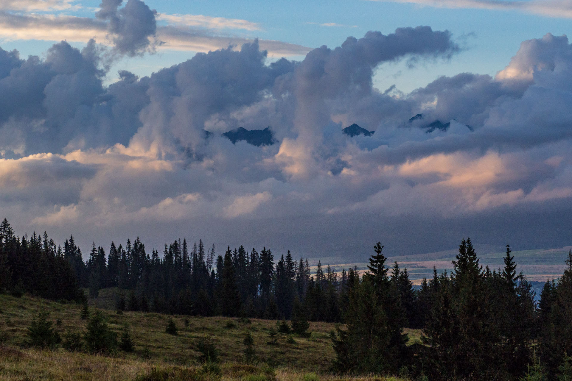 Čučoriedkový deň a Panská hoľa z Pred Soľankou (Nízke Tatry)