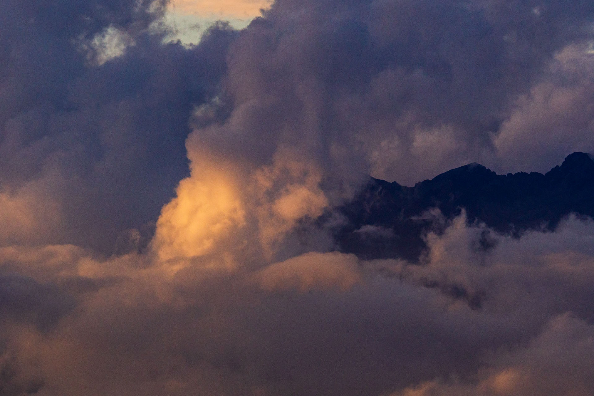 Čučoriedkový deň a Panská hoľa z Pred Soľankou (Nízke Tatry)