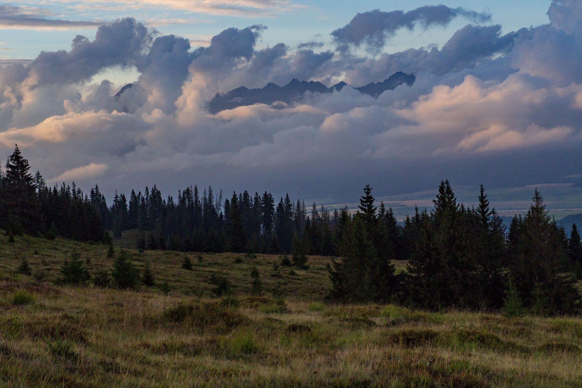 Čučoriedkový deň a Panská hoľa z Pred Soľankou (Nízke Tatry)