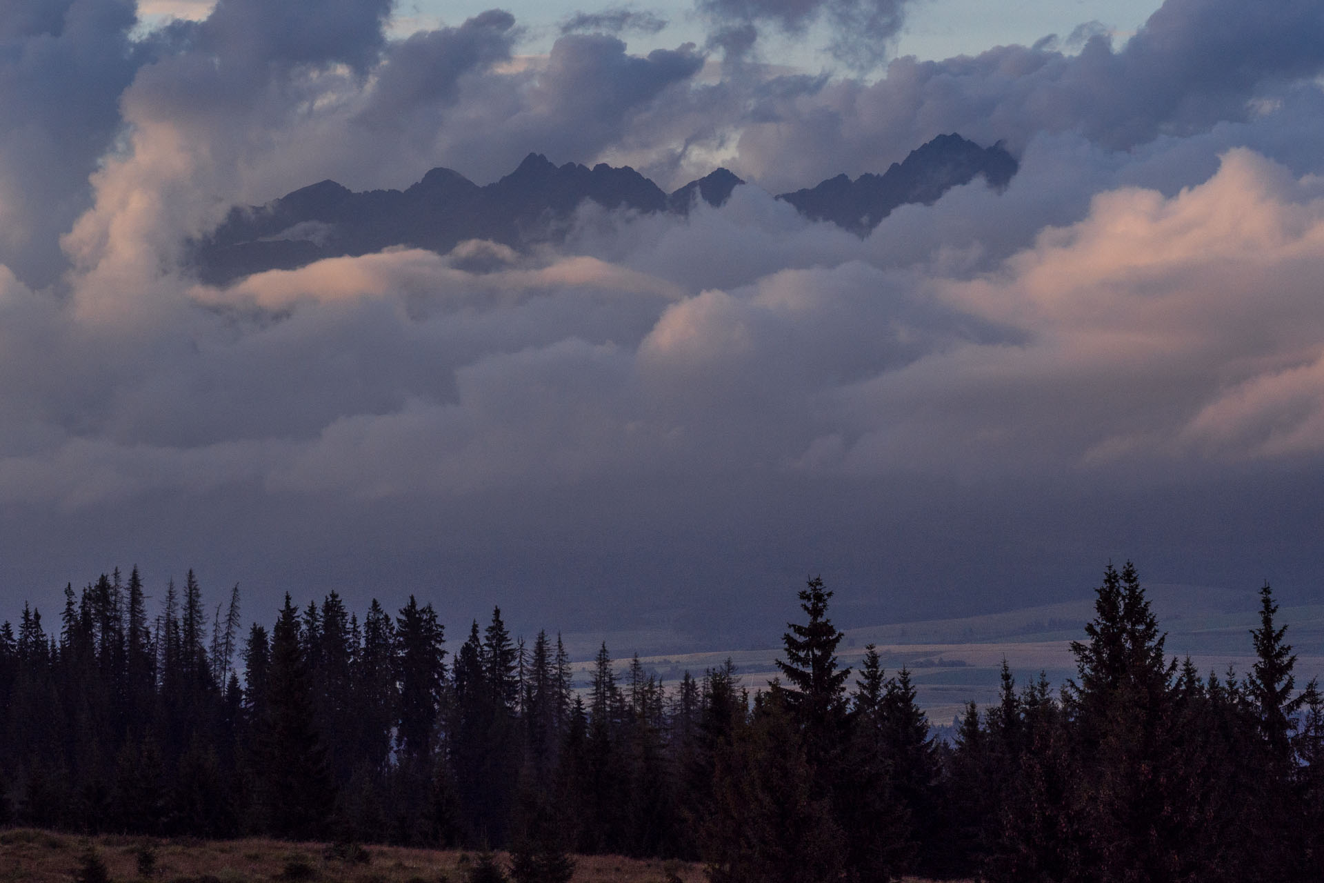 Čučoriedkový deň a Panská hoľa z Pred Soľankou (Nízke Tatry)