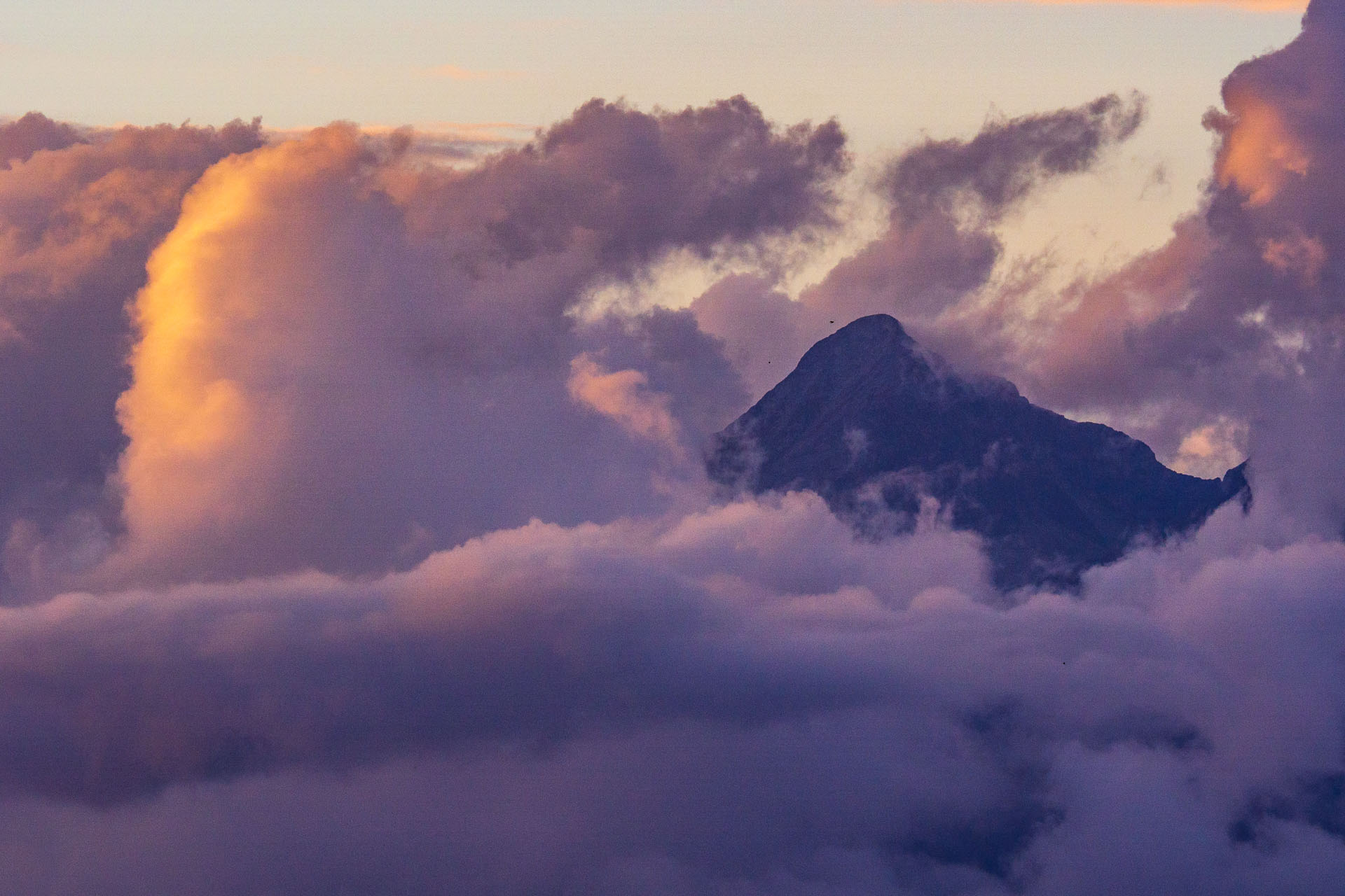 Čučoriedkový deň a Panská hoľa z Pred Soľankou (Nízke Tatry)