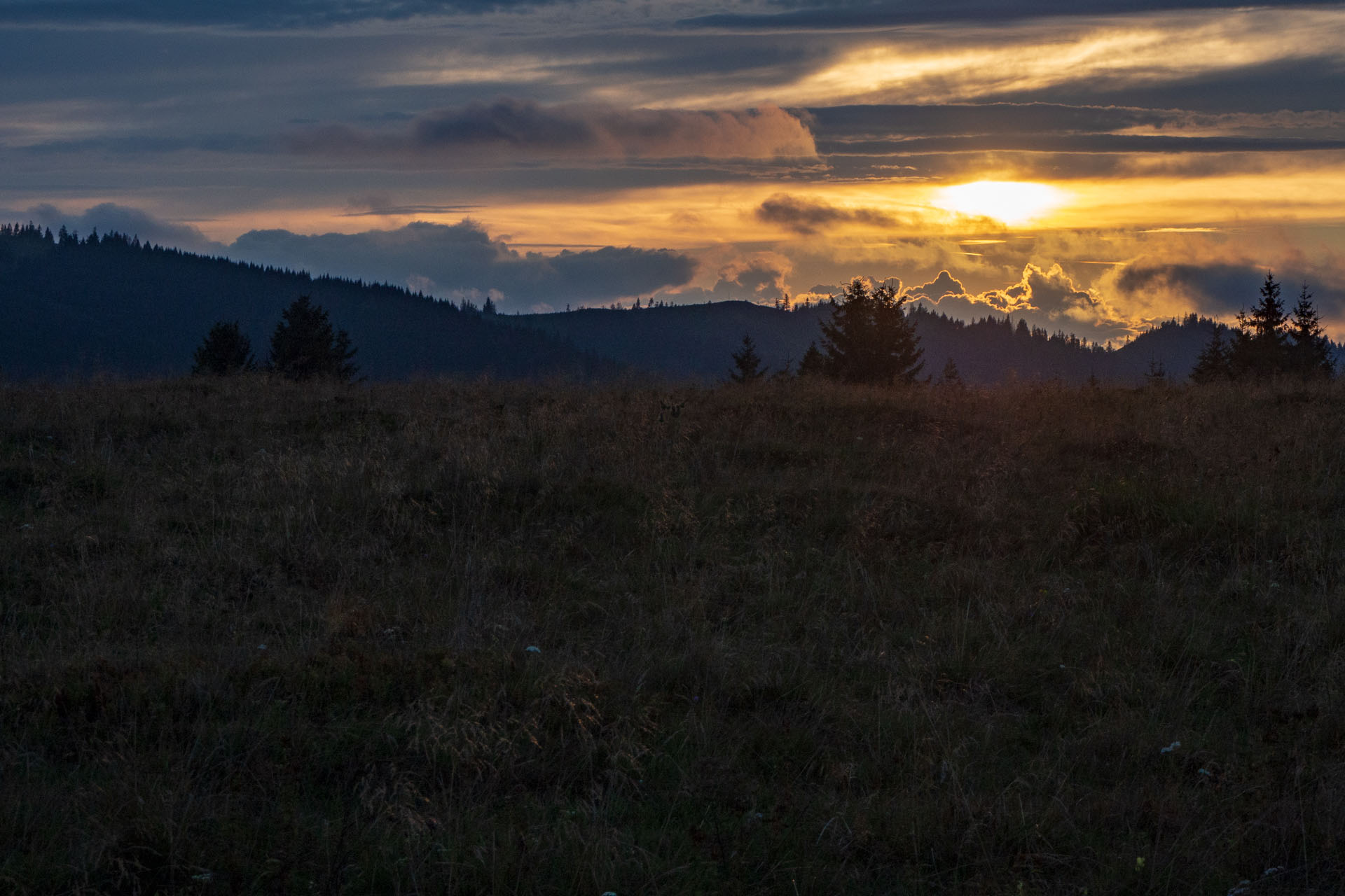 Čučoriedkový deň a Panská hoľa z Pred Soľankou (Nízke Tatry)