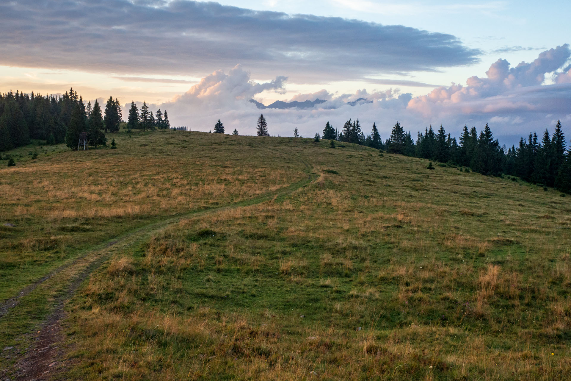 Čučoriedkový deň a Panská hoľa z Pred Soľankou (Nízke Tatry)