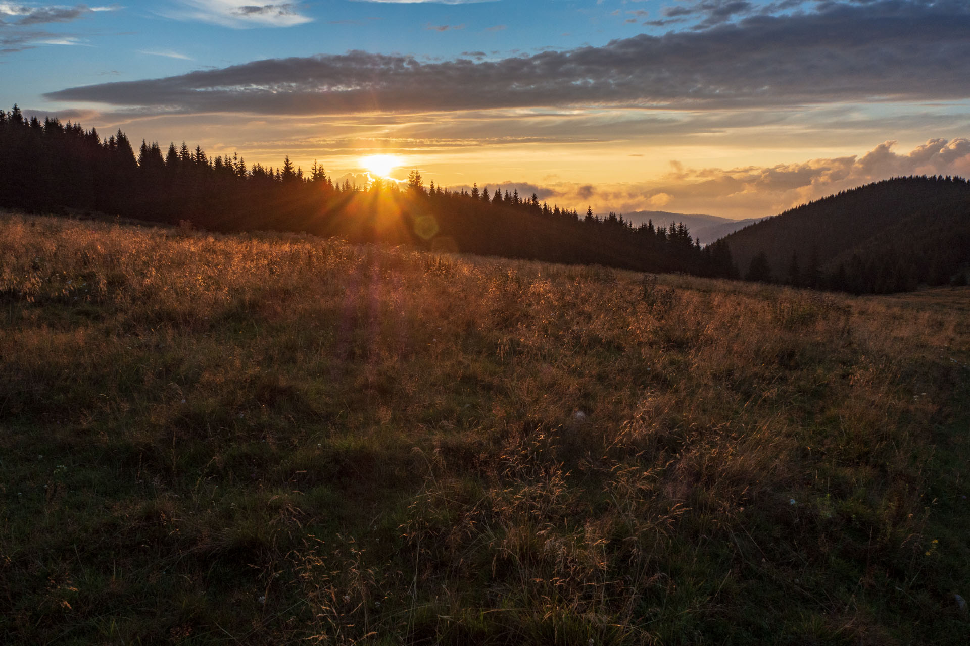 Čučoriedkový deň a Panská hoľa z Pred Soľankou (Nízke Tatry)