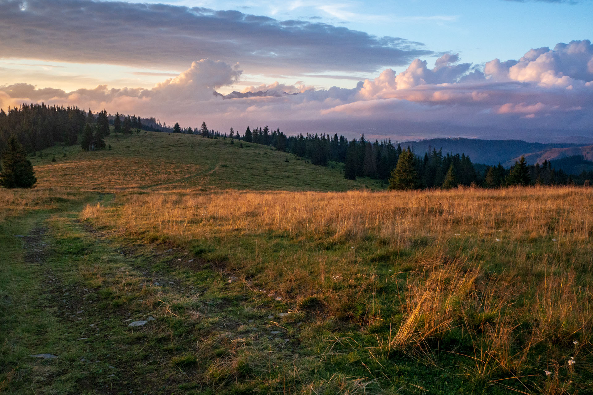 Čučoriedkový deň a Panská hoľa z Pred Soľankou (Nízke Tatry)