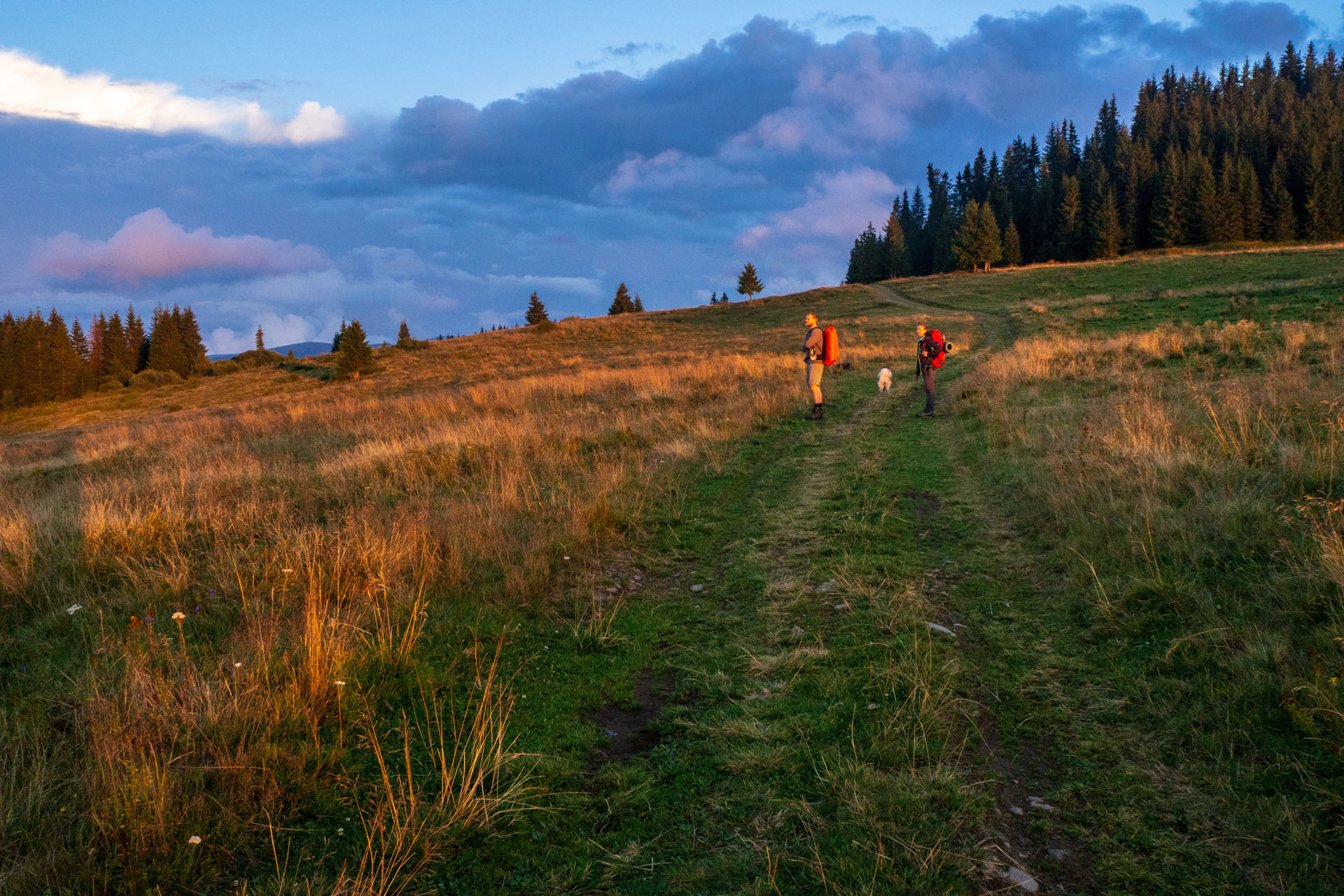 Čučoriedkový deň a Panská hoľa z Pred Soľankou (Nízke Tatry)