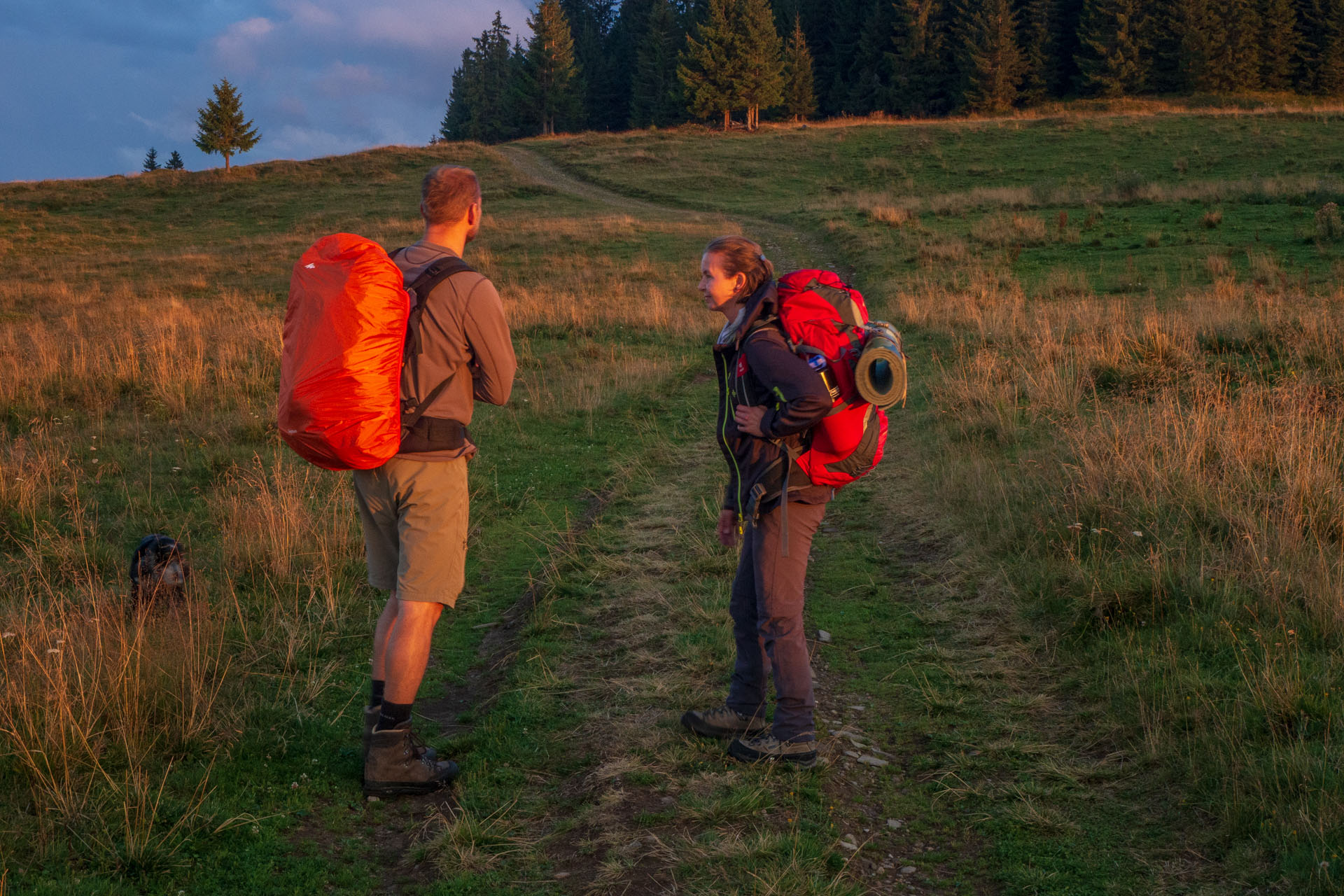 Čučoriedkový deň a Panská hoľa z Pred Soľankou (Nízke Tatry)