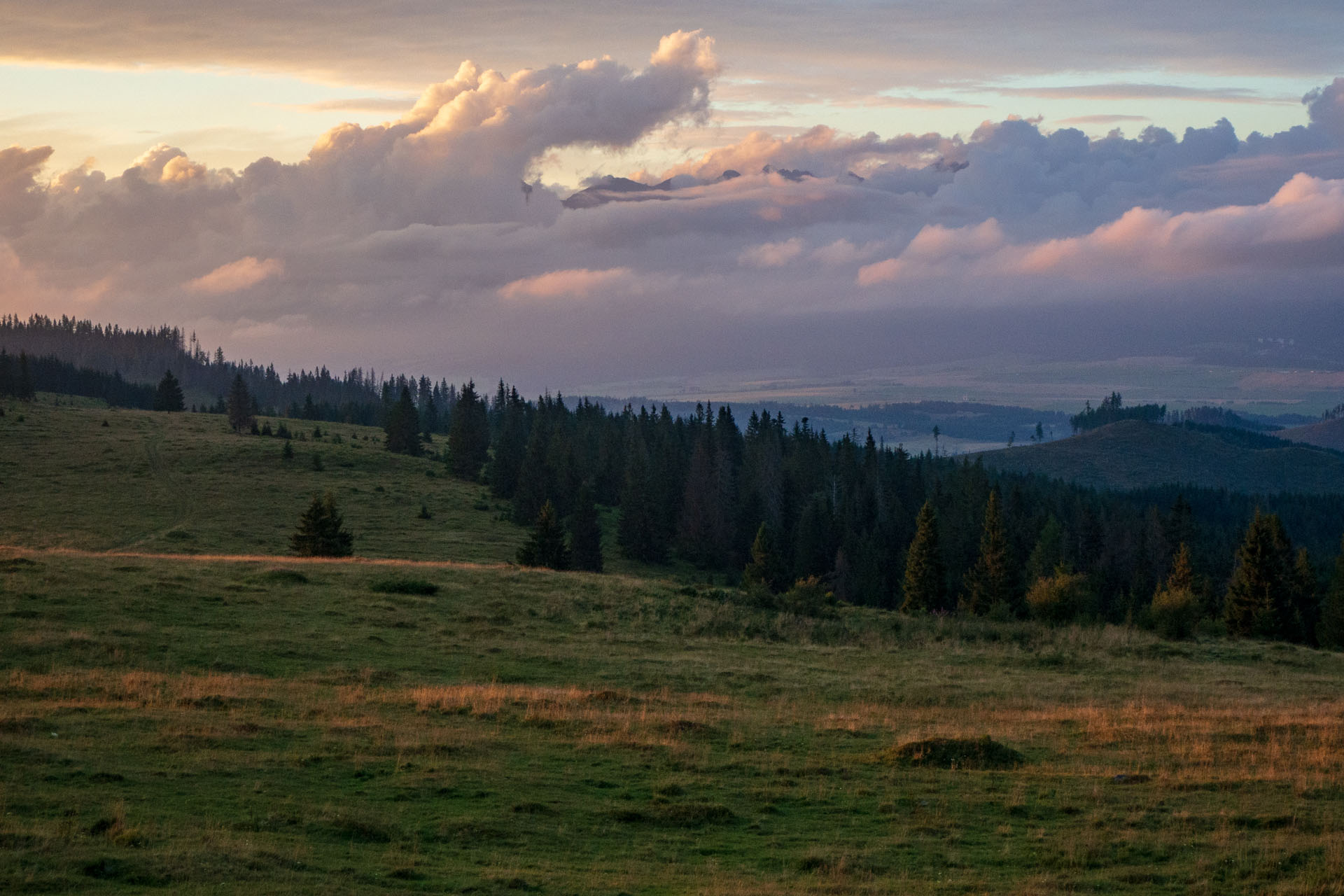 Čučoriedkový deň a Panská hoľa z Pred Soľankou (Nízke Tatry)