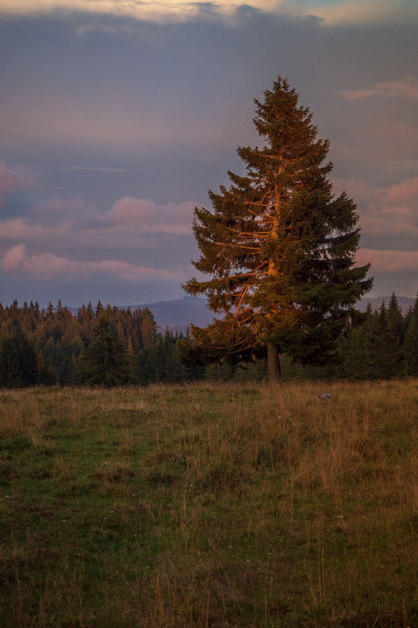 Čučoriedkový deň a Panská hoľa z Pred Soľankou (Nízke Tatry)