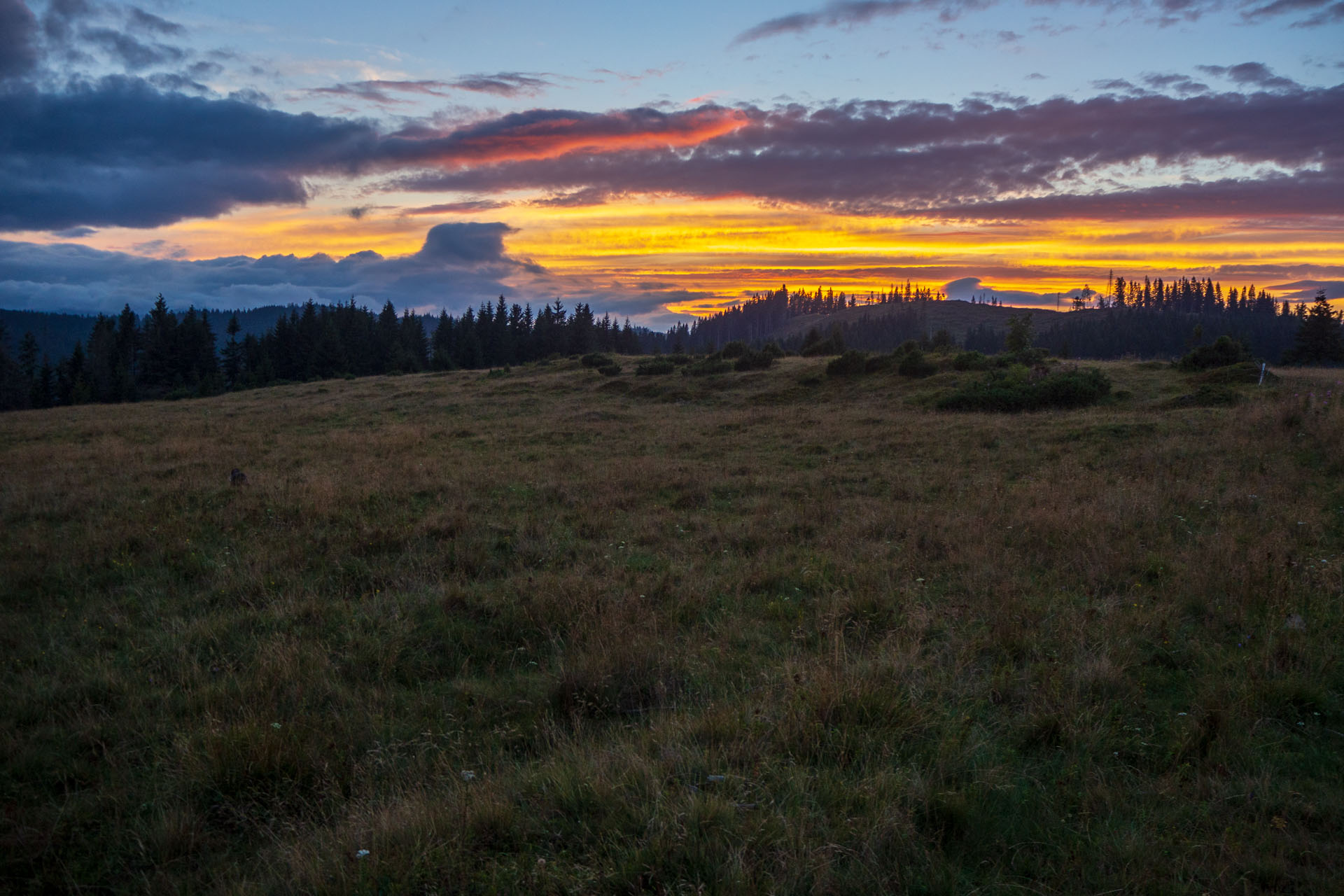 Čučoriedkový deň a Panská hoľa z Pred Soľankou (Nízke Tatry)