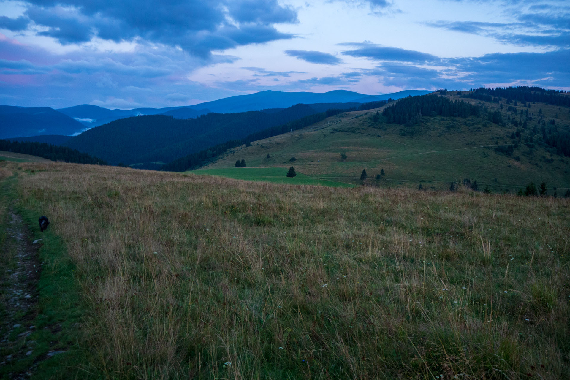 Čučoriedkový deň a Panská hoľa z Pred Soľankou (Nízke Tatry)