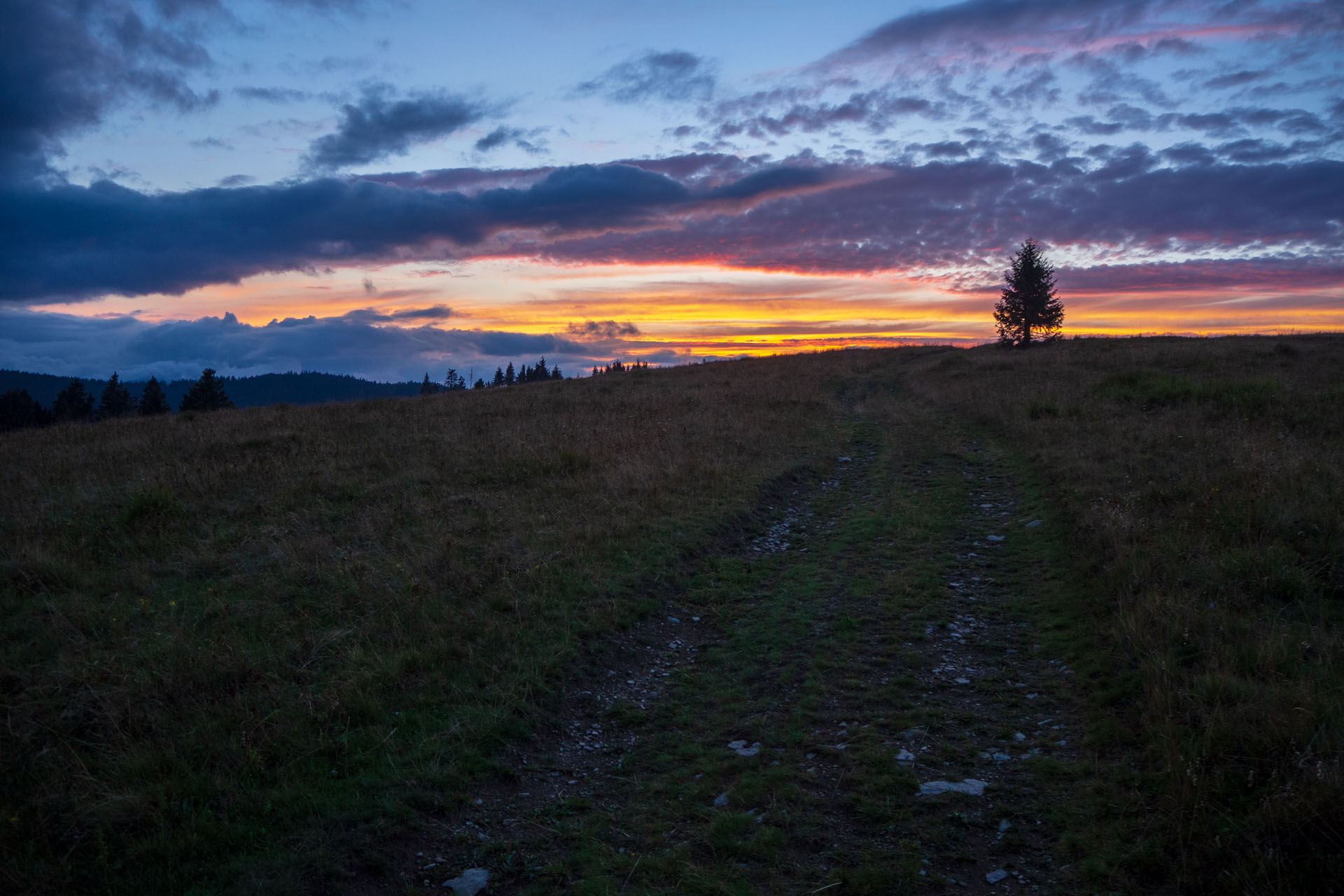 Čučoriedkový deň a Panská hoľa z Pred Soľankou (Nízke Tatry)