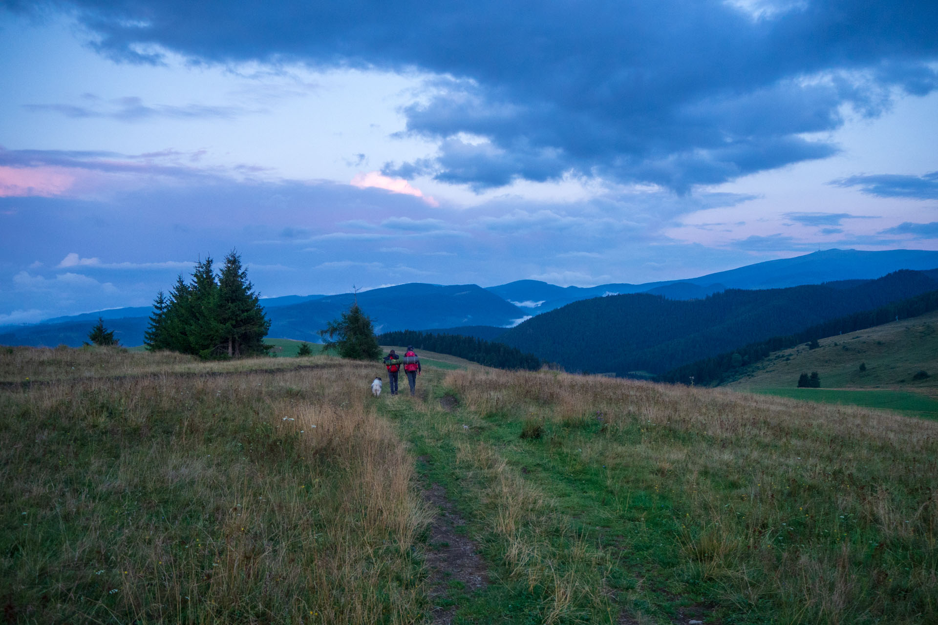 Čučoriedkový deň a Panská hoľa z Pred Soľankou (Nízke Tatry)