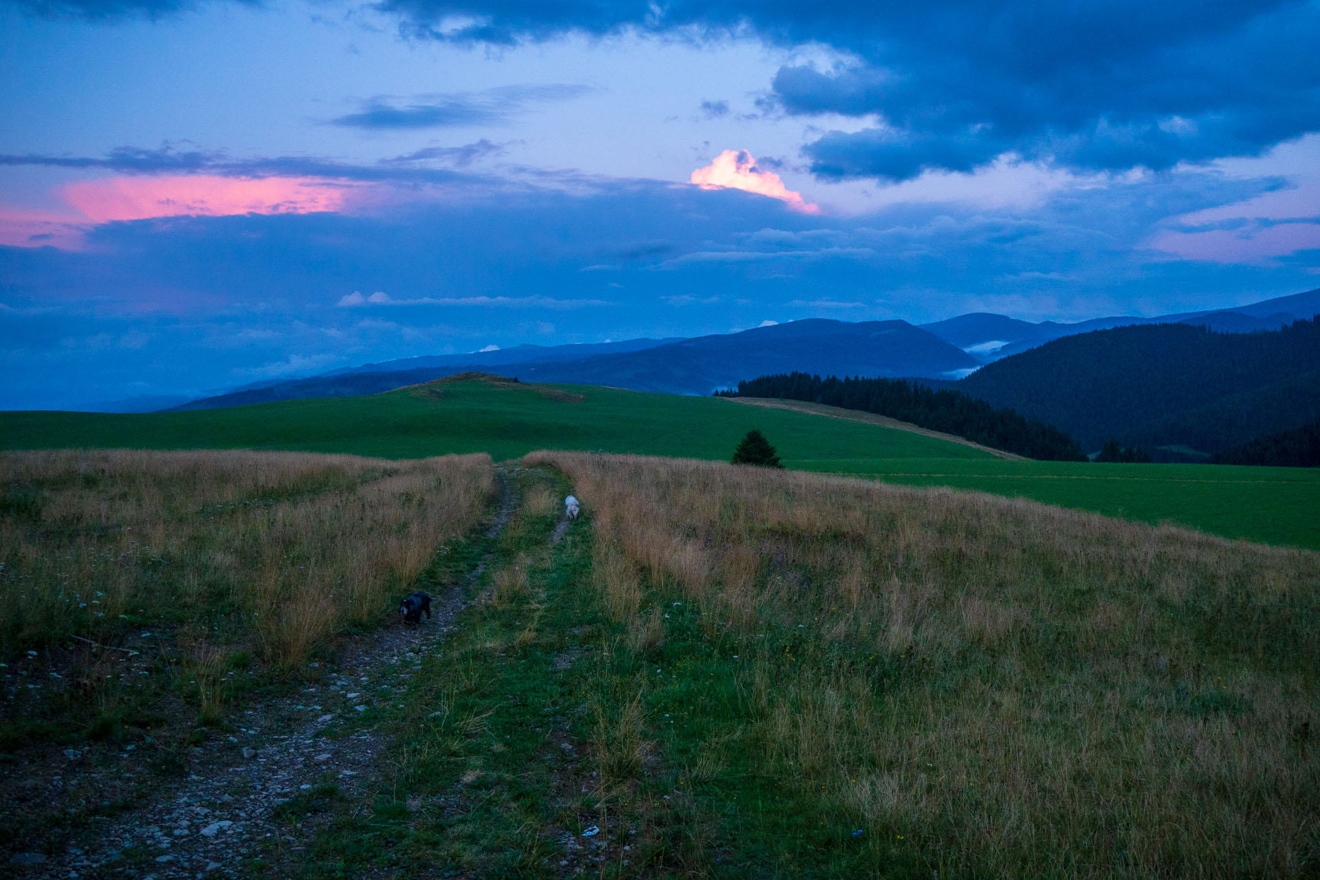 Čučoriedkový deň a Panská hoľa z Pred Soľankou (Nízke Tatry)