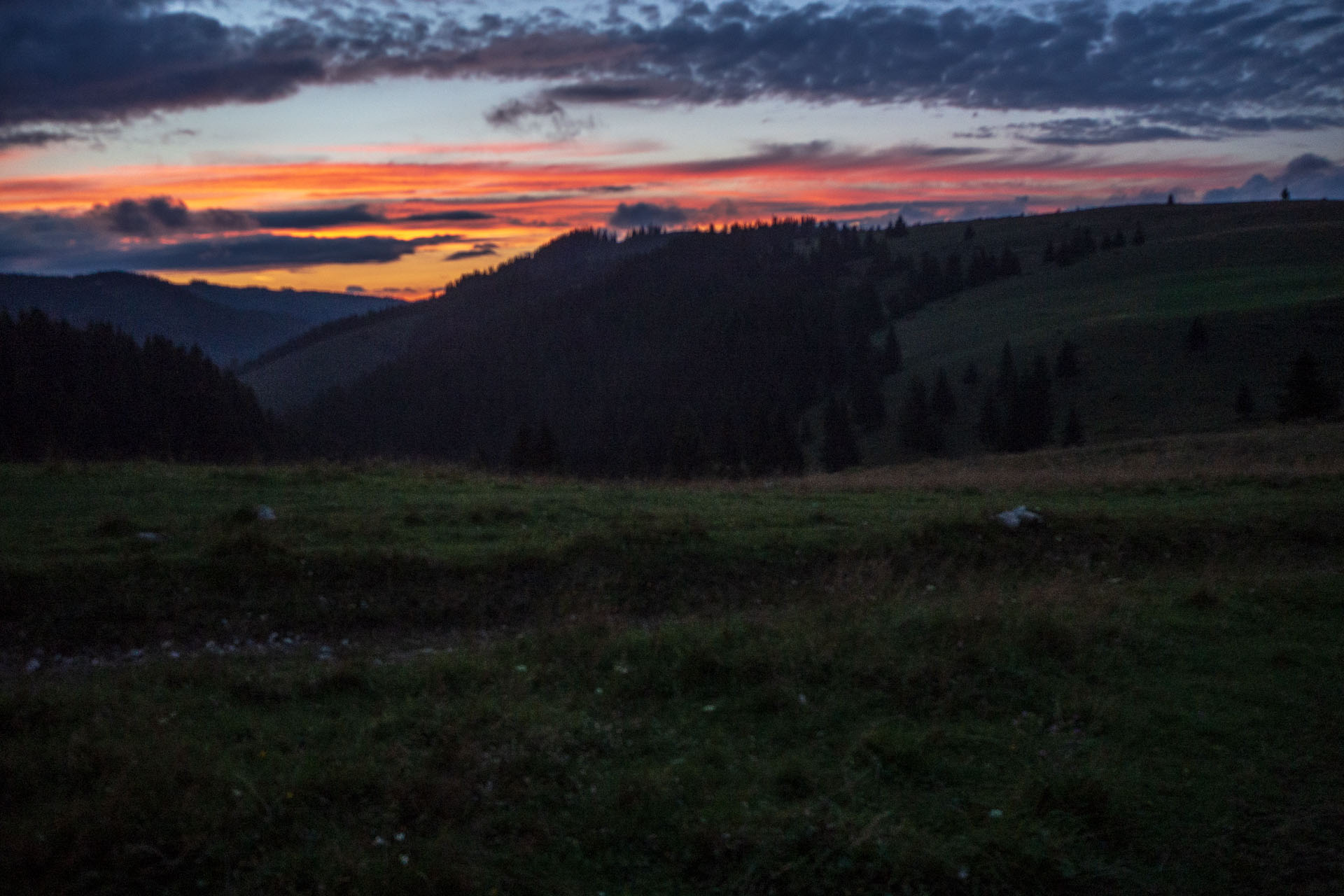 Čučoriedkový deň a Panská hoľa z Pred Soľankou (Nízke Tatry)