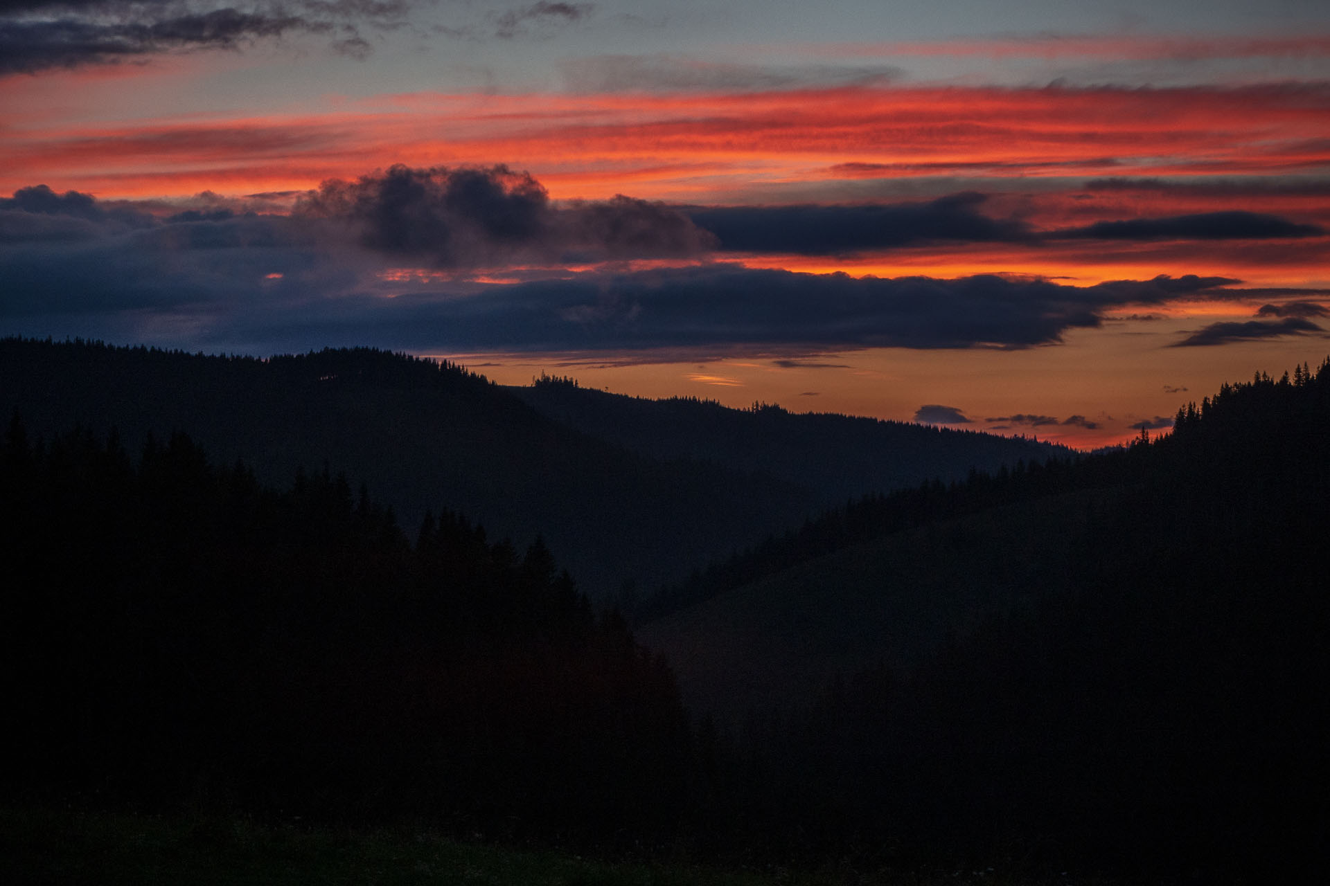 Čučoriedkový deň a Panská hoľa z Pred Soľankou (Nízke Tatry)