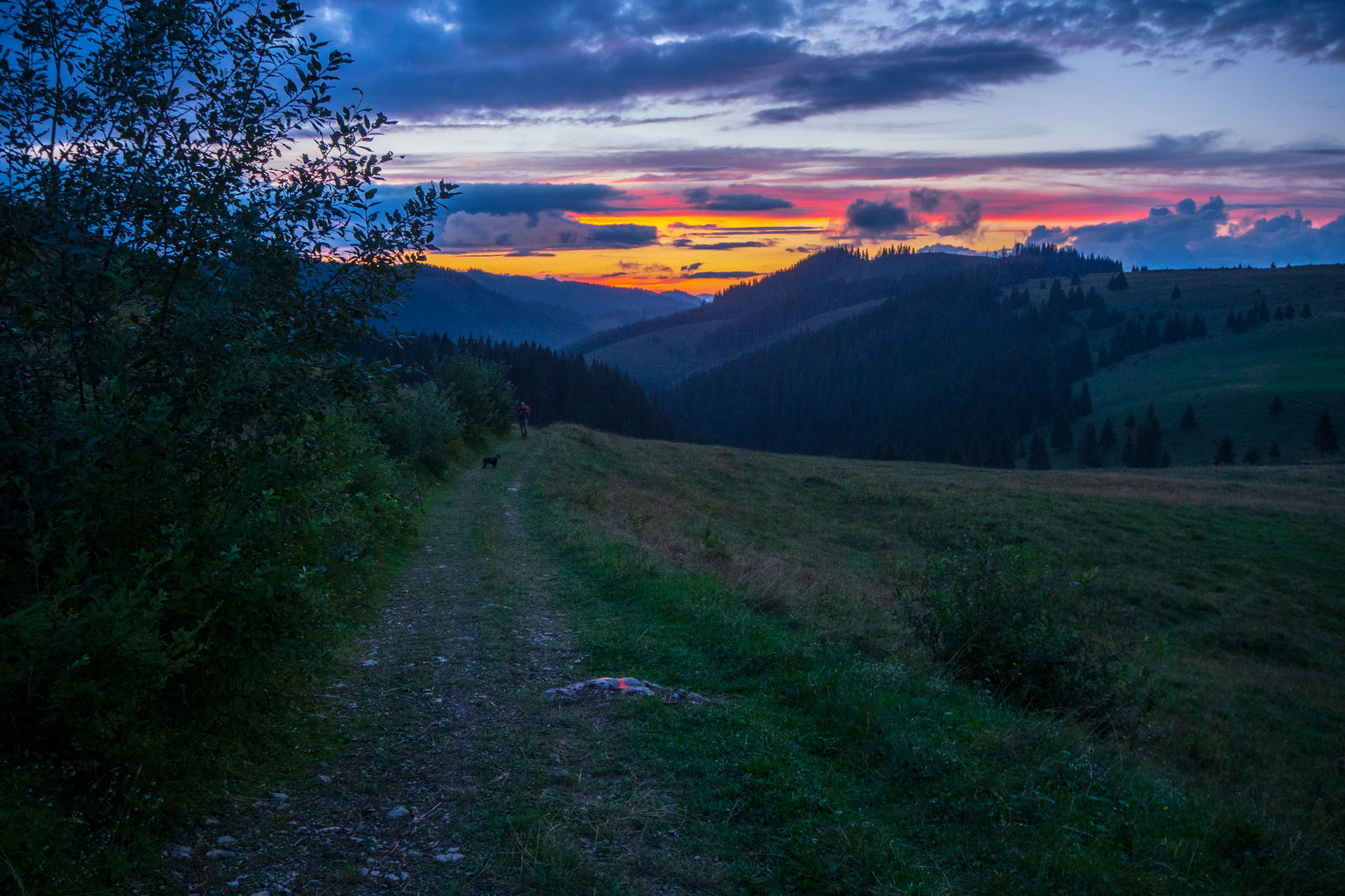 Čučoriedkový deň a Panská hoľa z Pred Soľankou (Nízke Tatry)